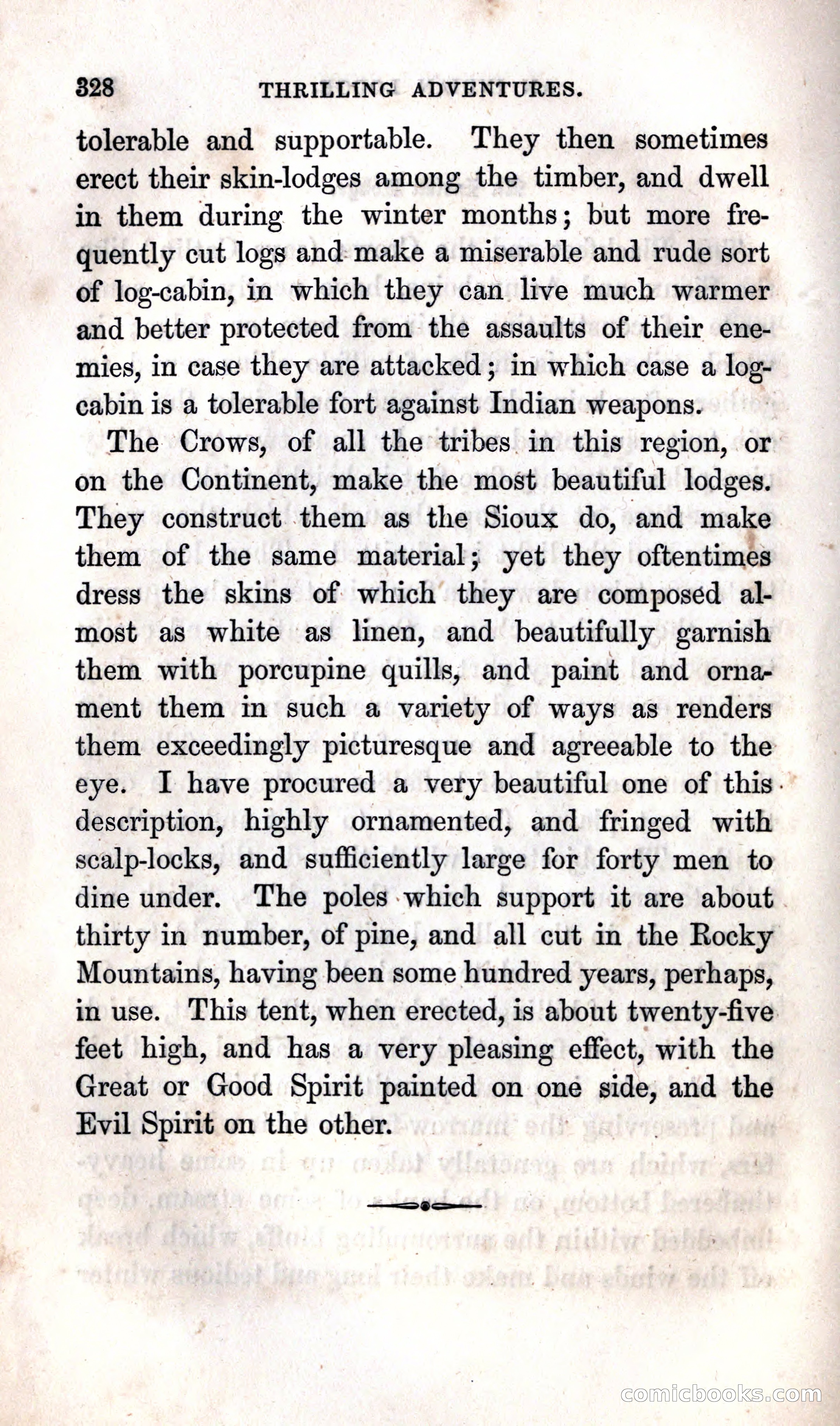 Thrilling Adventures Among the Indians — page 334 of 392