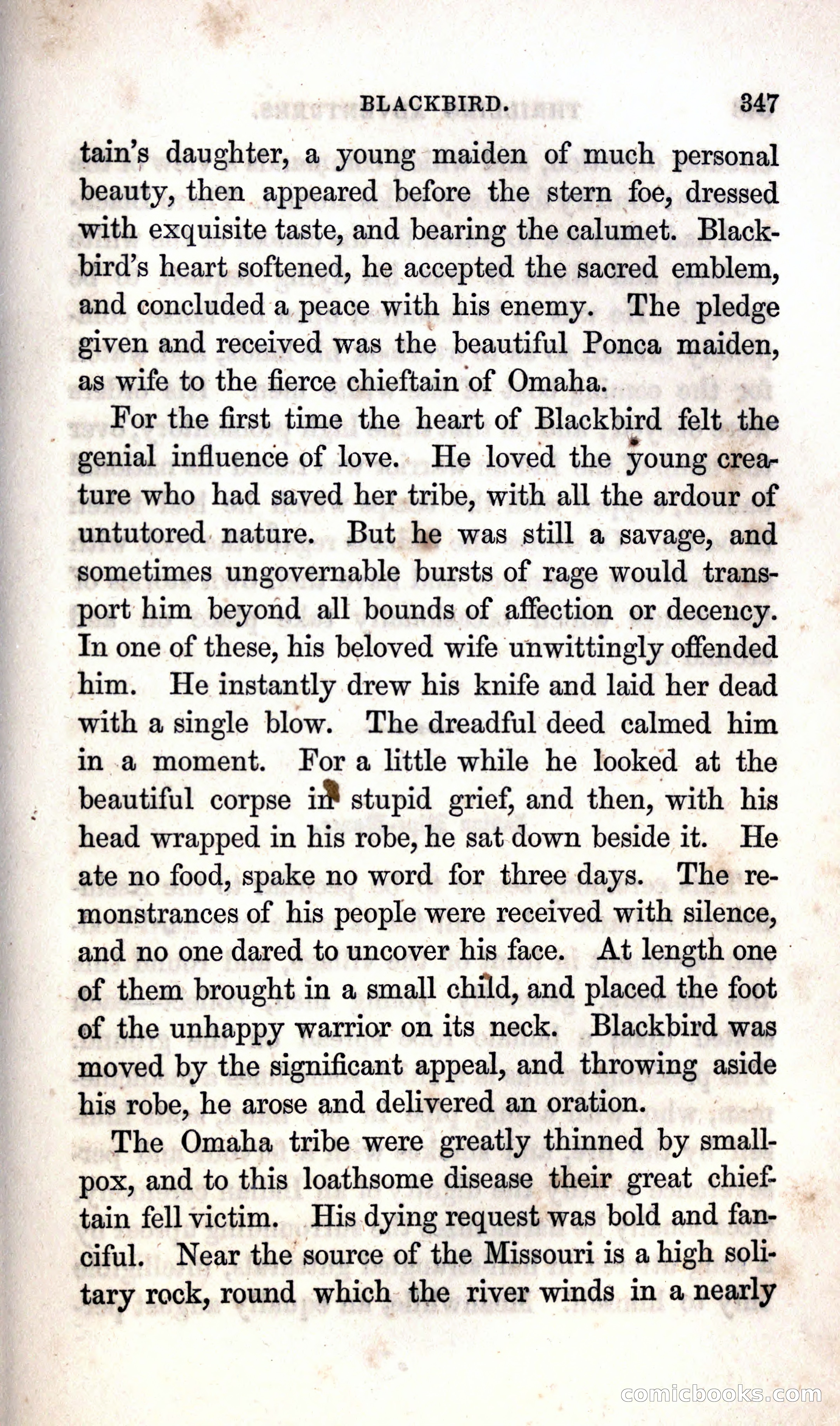 Thrilling Adventures Among the Indians — page 353 of 392
