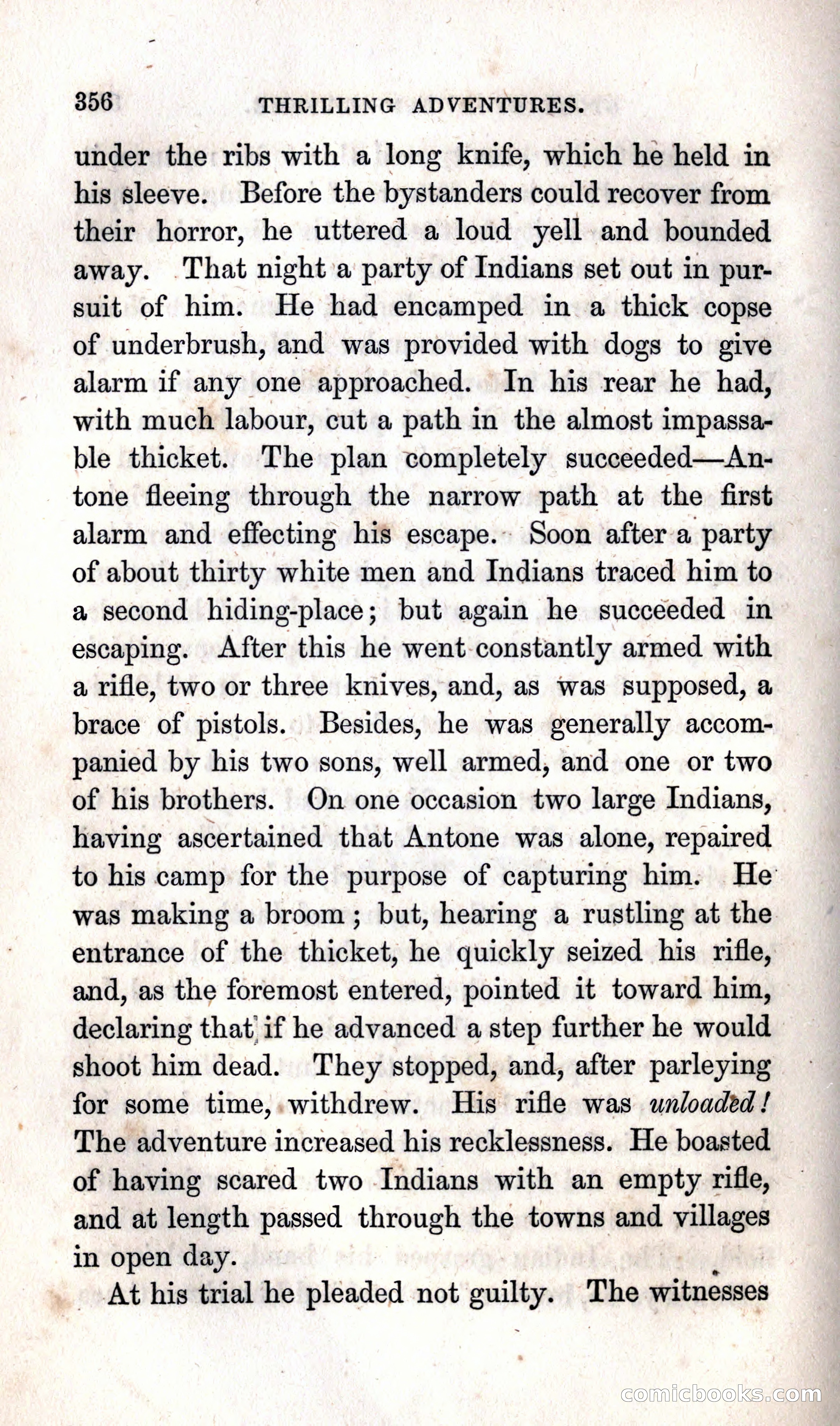 Thrilling Adventures Among the Indians — page 362 of 392