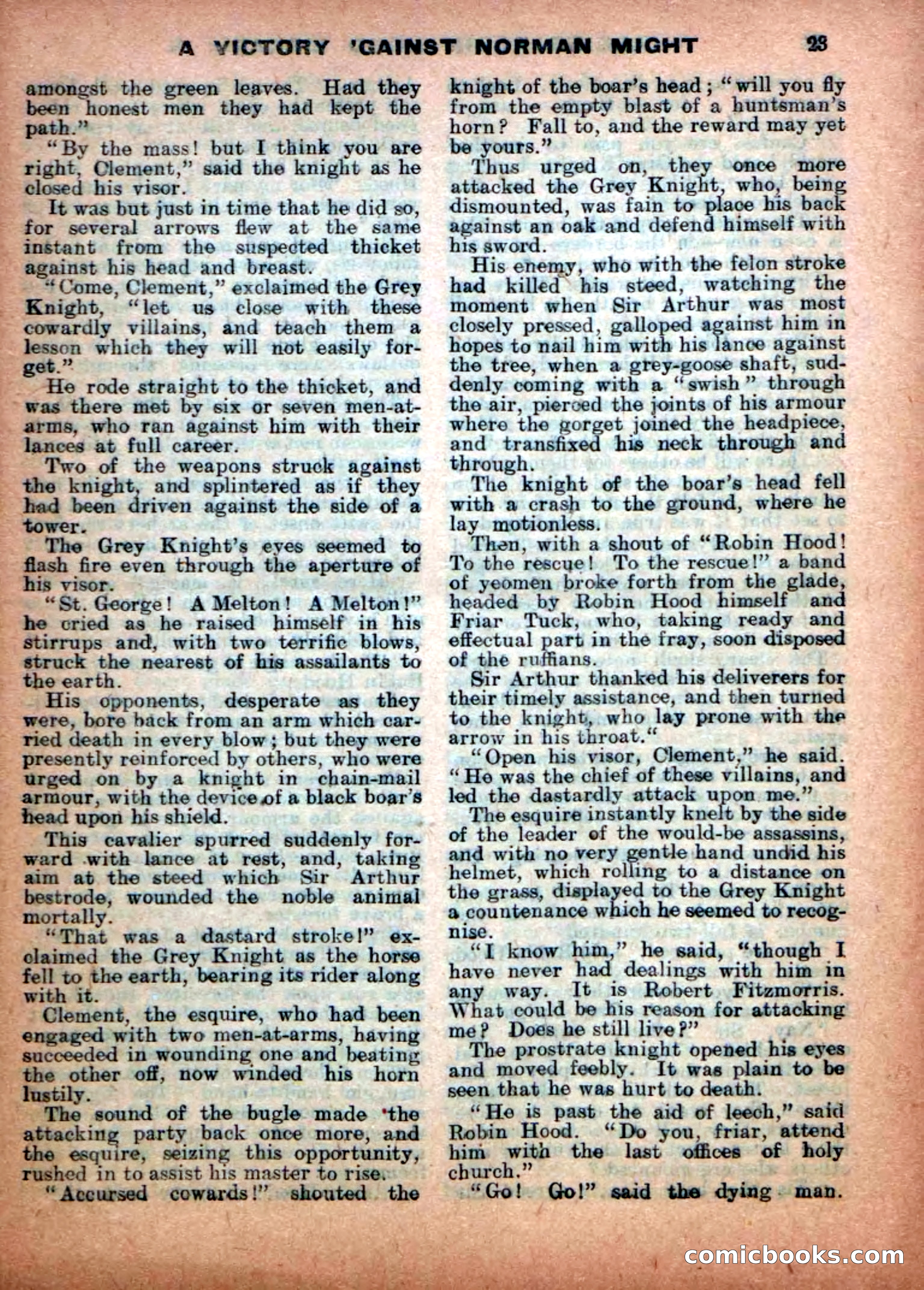 The Great Fight in Sherwood Forest — page 25 of 34