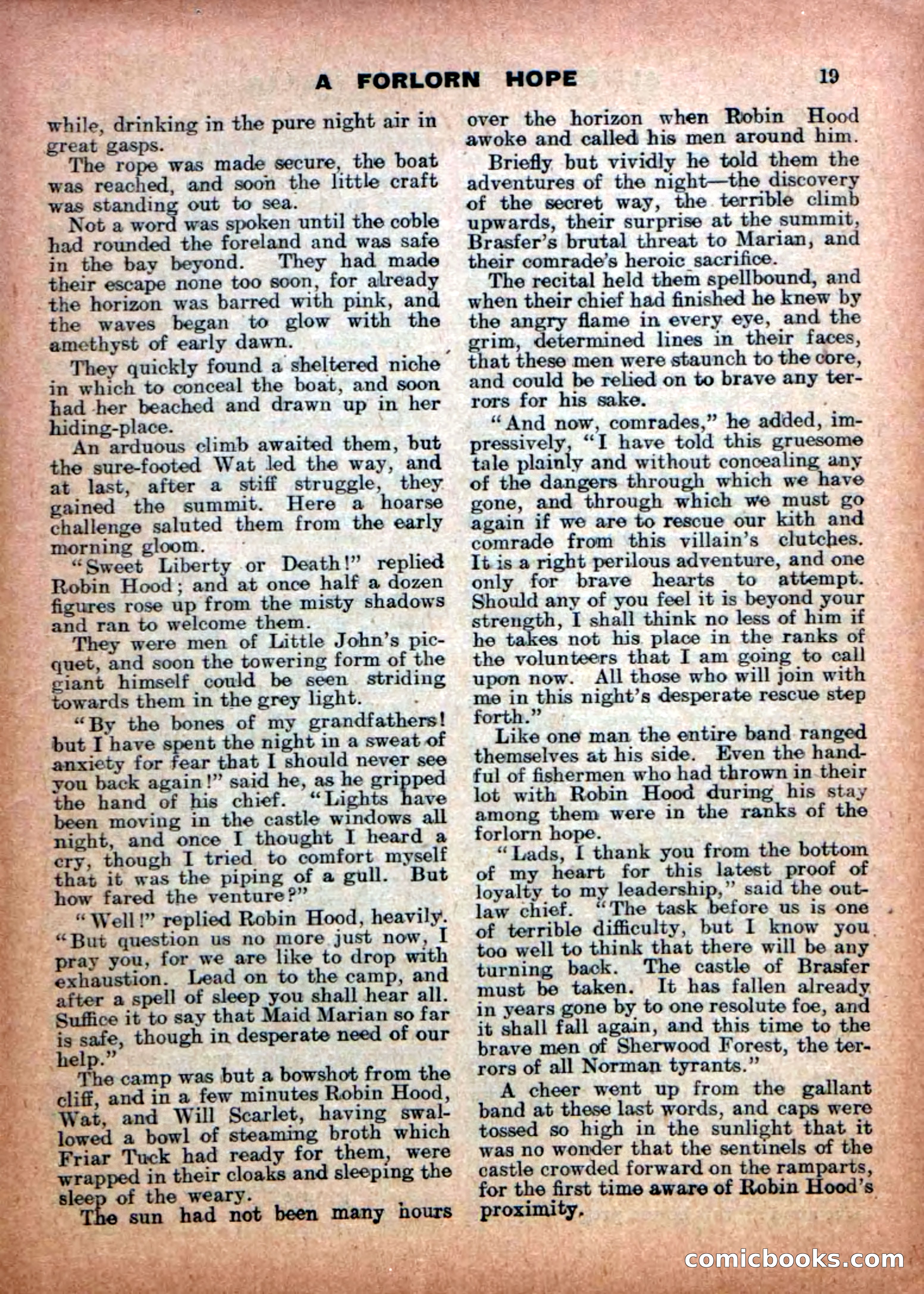 Robin Hood Library No. 16: In Desperate Plight — page 21 of 36