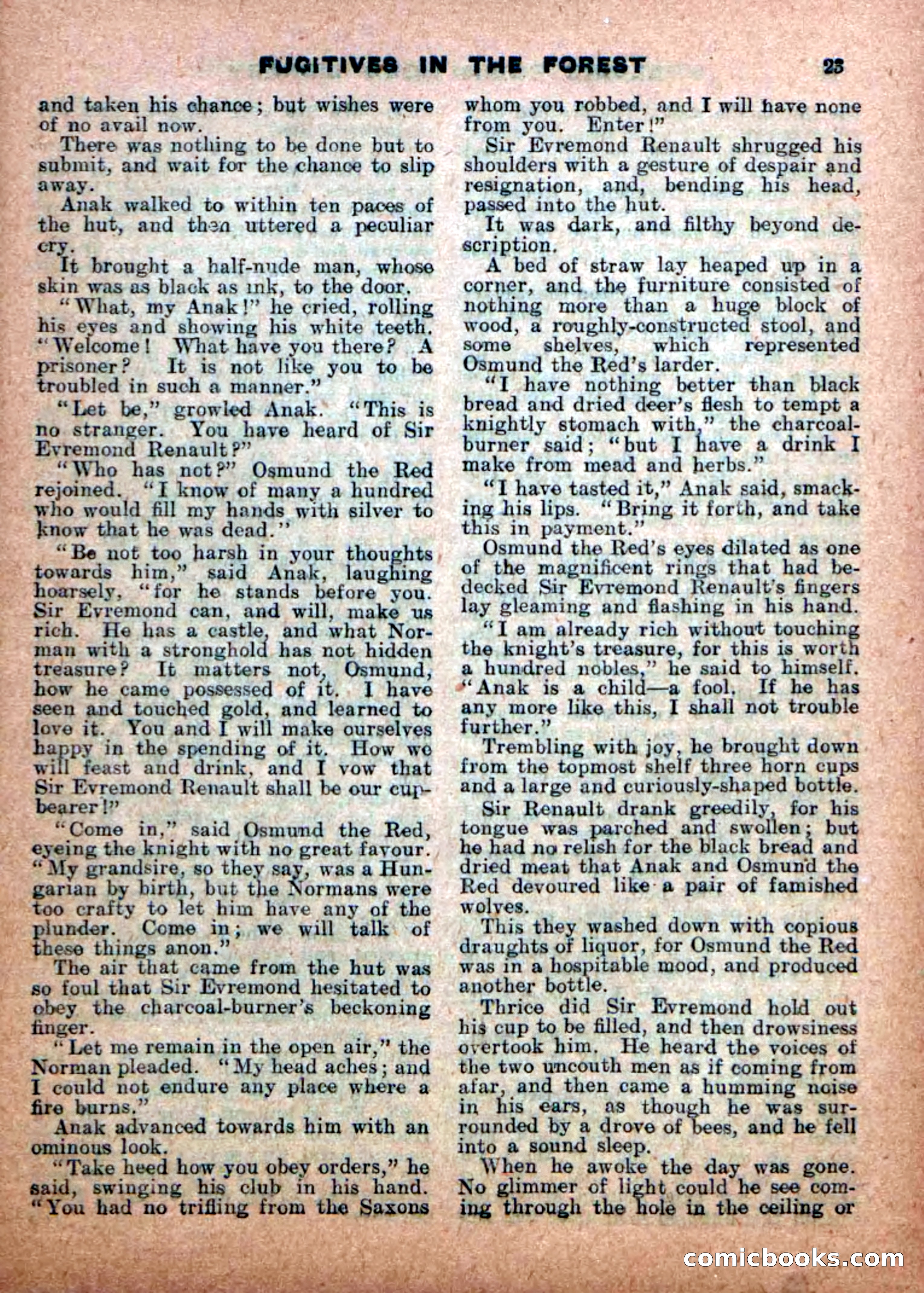 Robin Hood Library No. 17: The Demon of the Forest — page 25 of 36