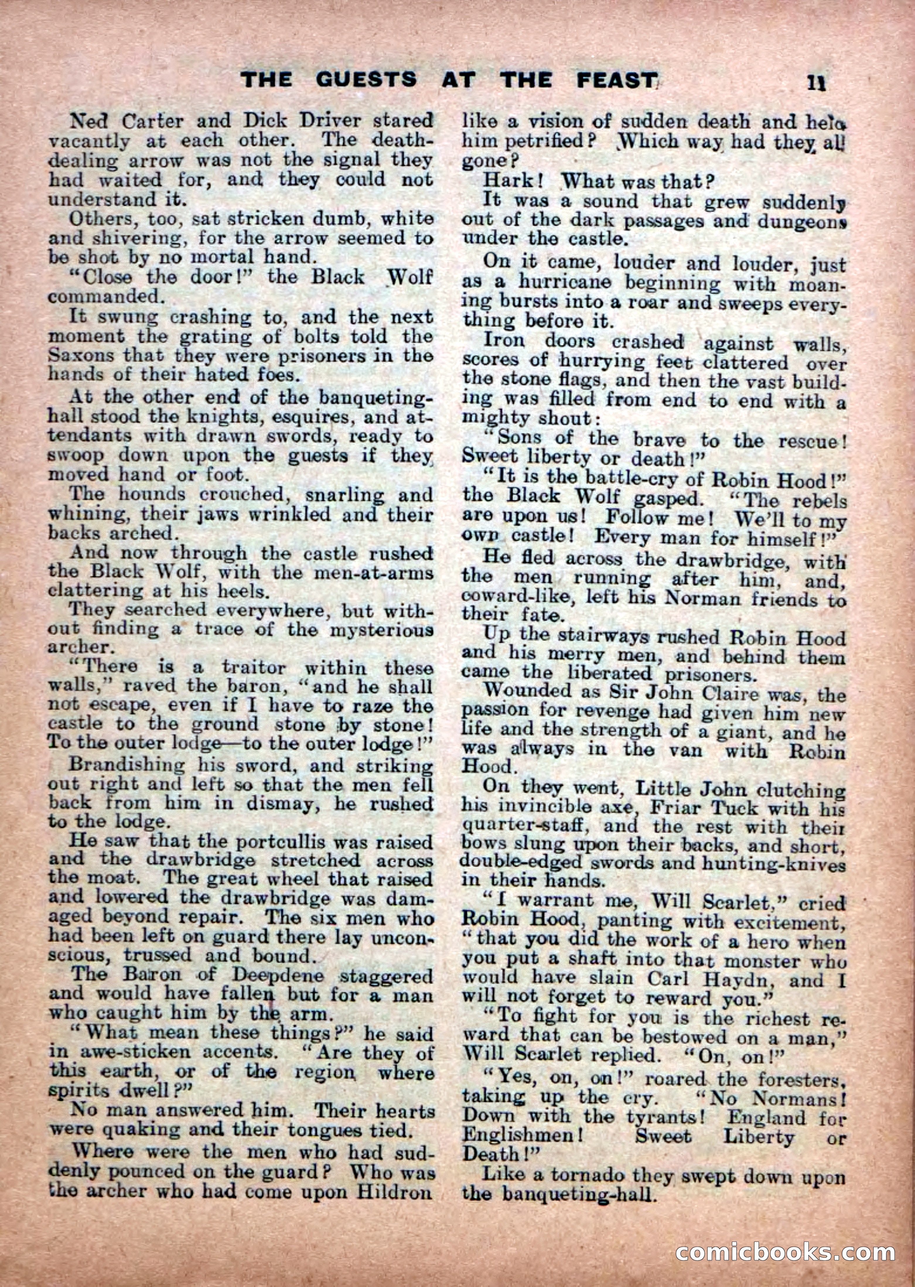 Robin Hood Library No. 18: Sons of the Brave — page 13 of 36