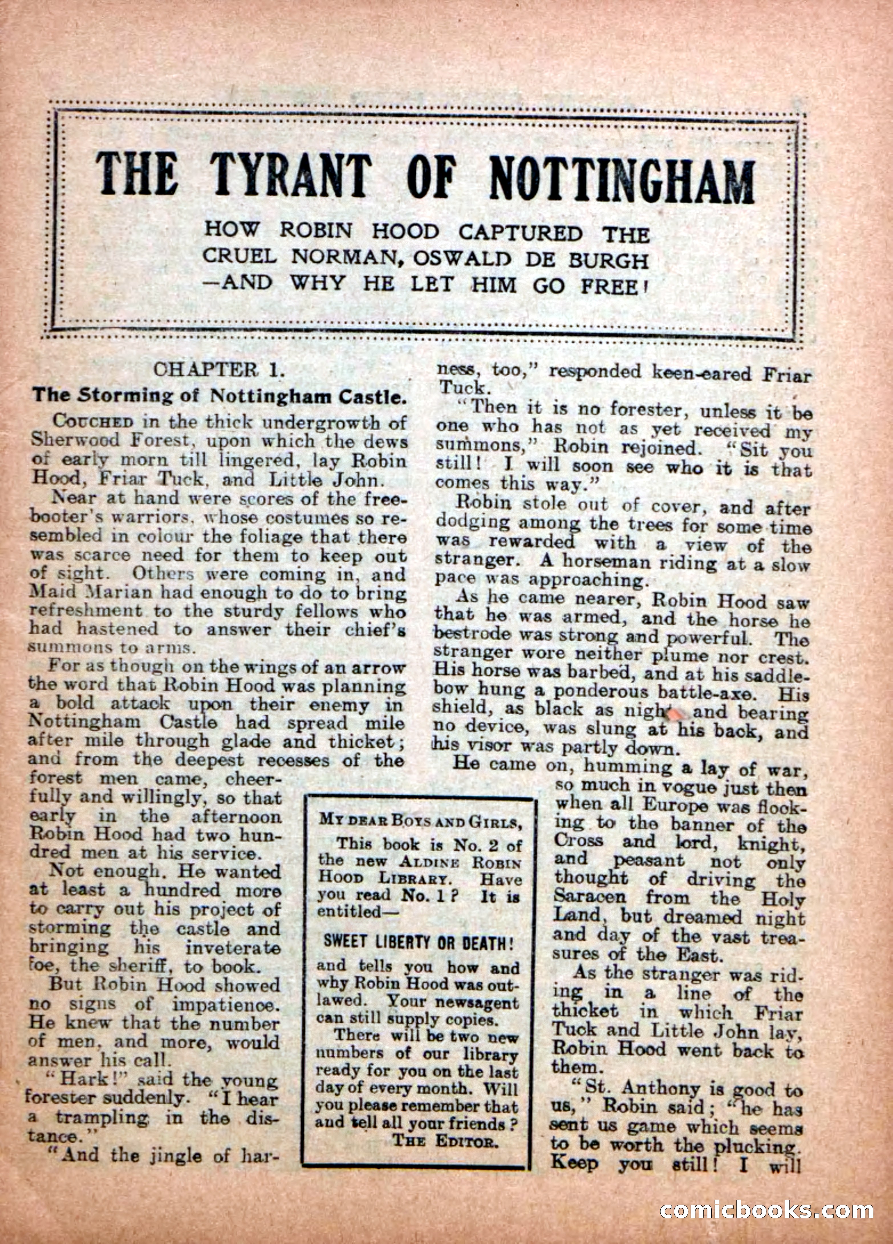 The Tyrant of Nottingham — page 3 of 36