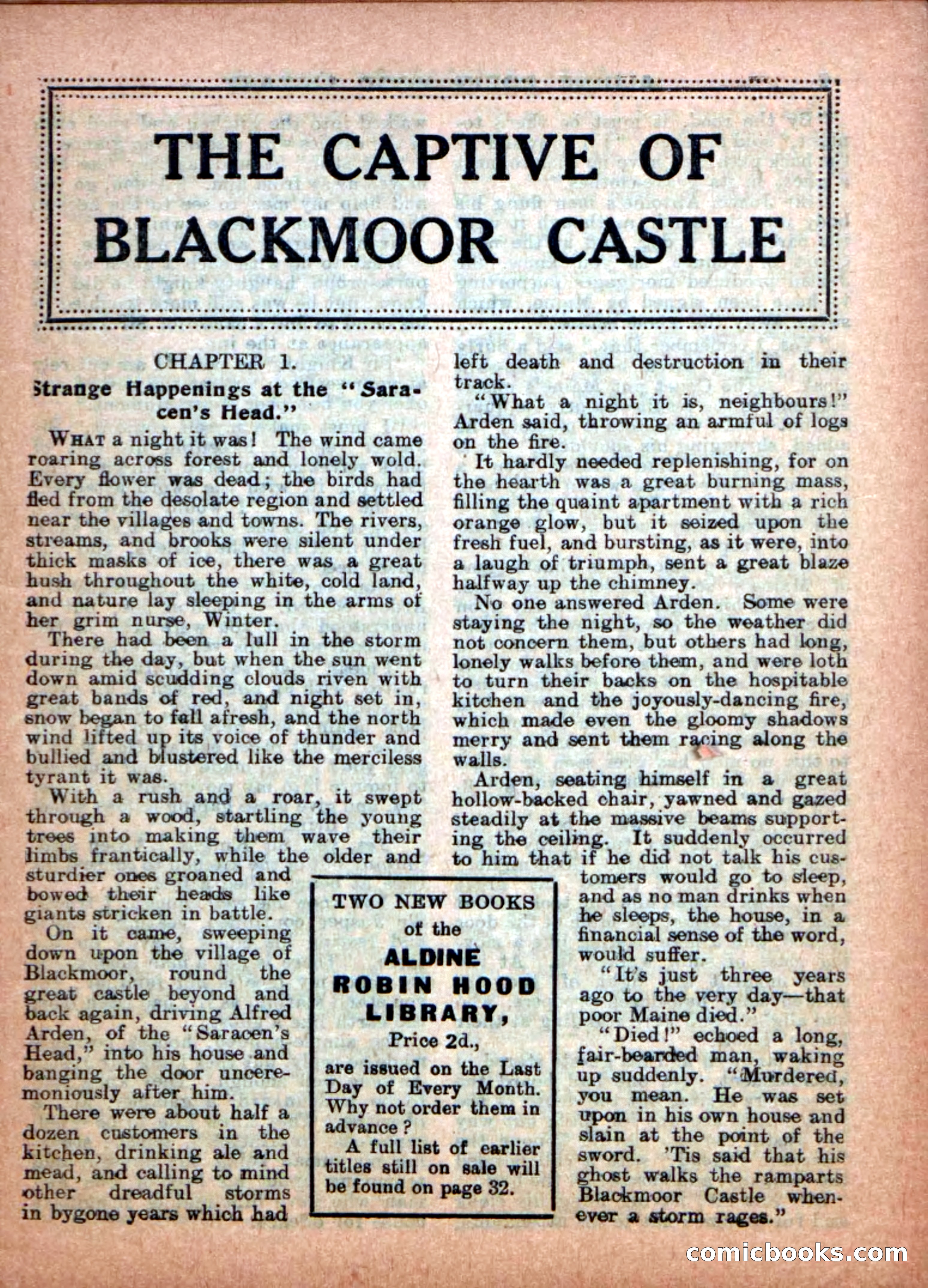 The Captive of Blackmoor Castle — page 3 of 34