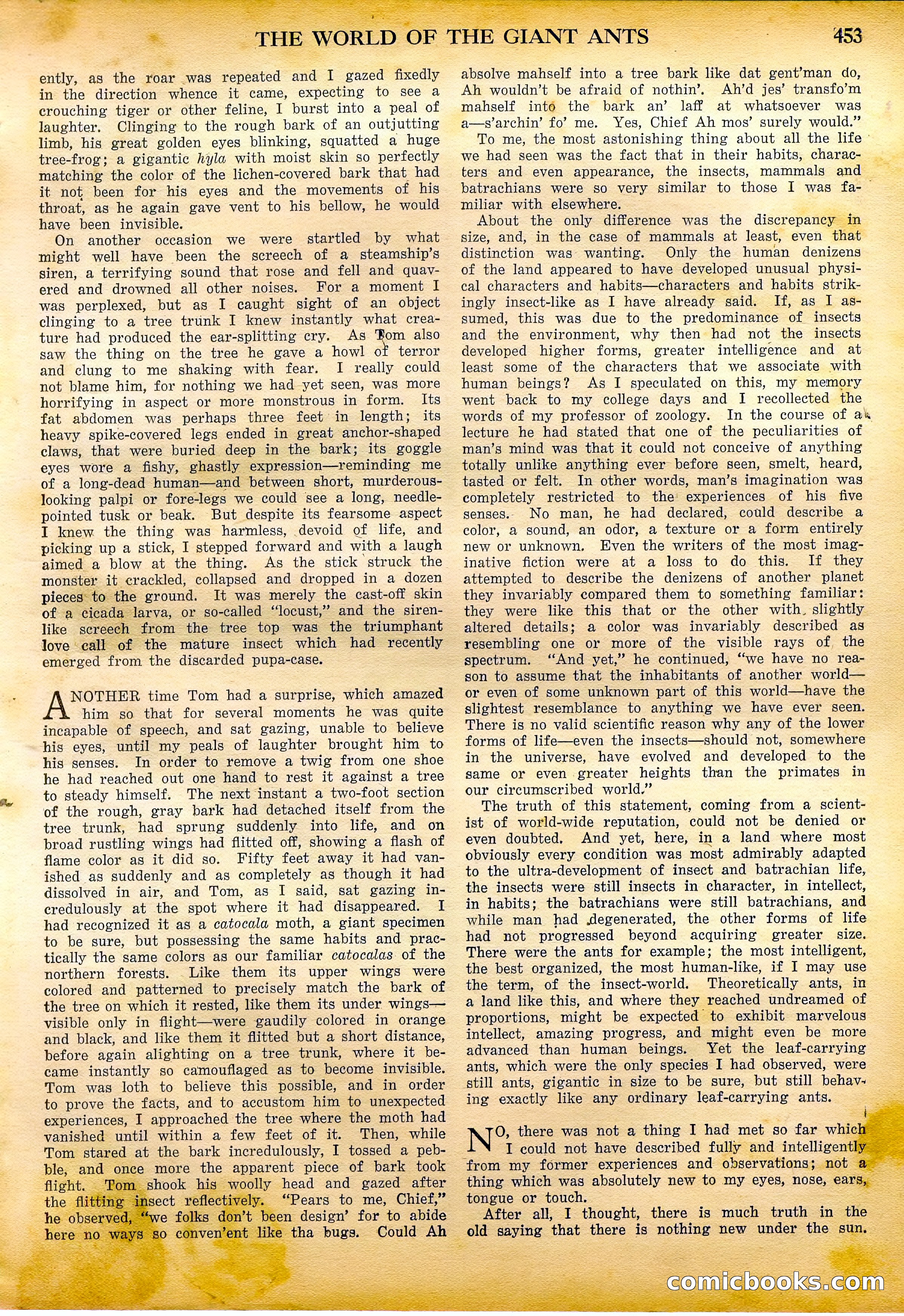 Amazing Stories Quarterly, Fall 1928 — page 22 of 145