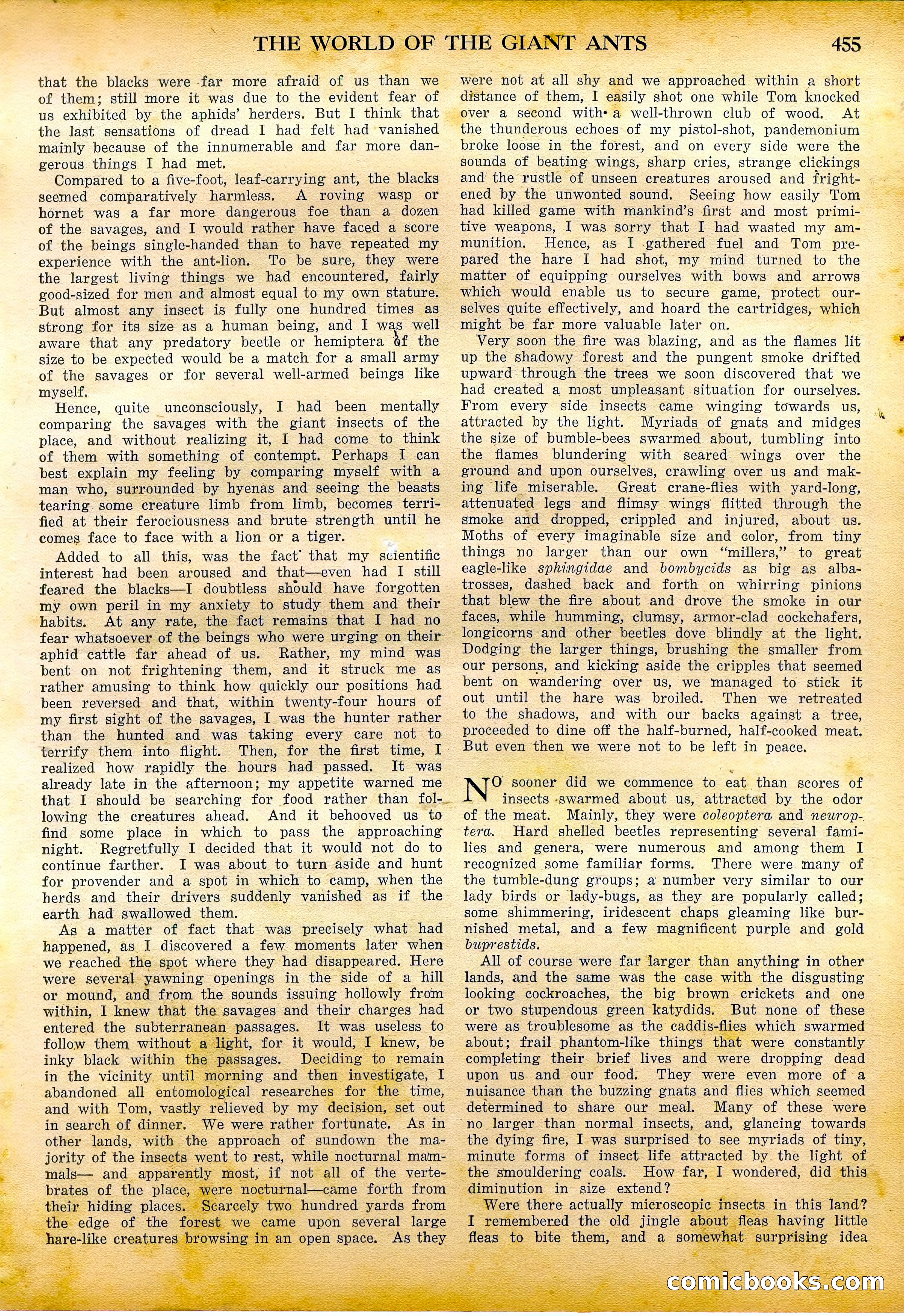 Amazing Stories Quarterly, Fall 1928 — page 24 of 145