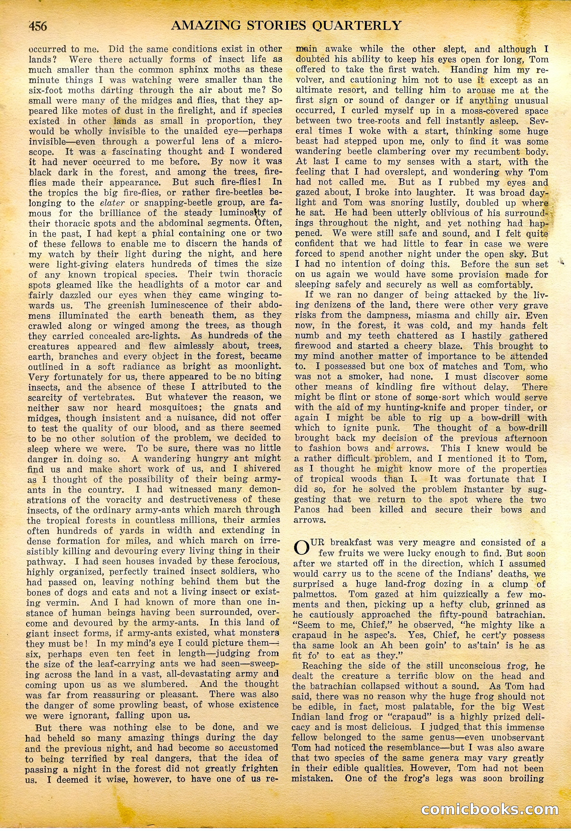 Amazing Stories Quarterly, Fall 1928 — page 25 of 145