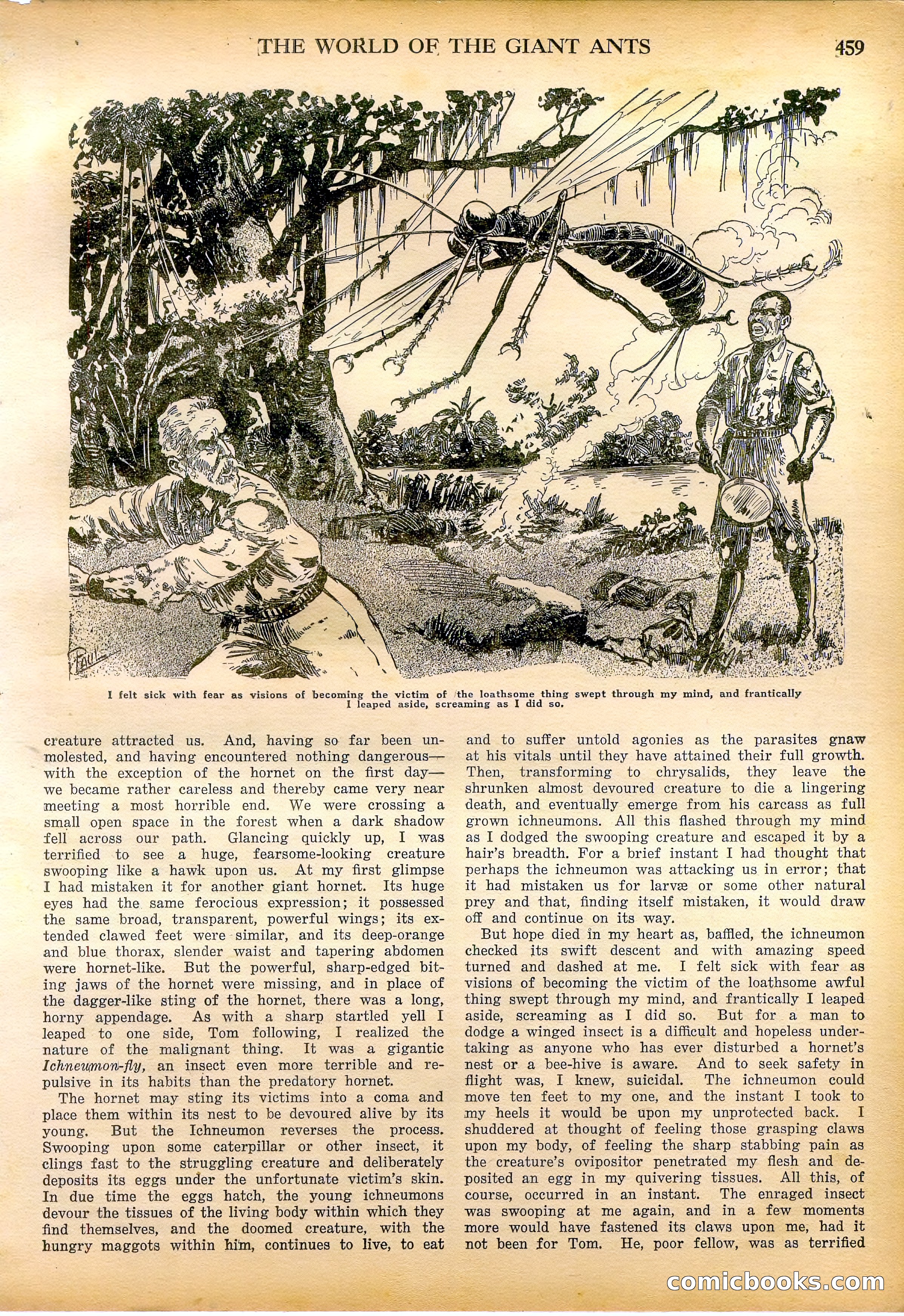 Amazing Stories Quarterly, Fall 1928 — page 28 of 145