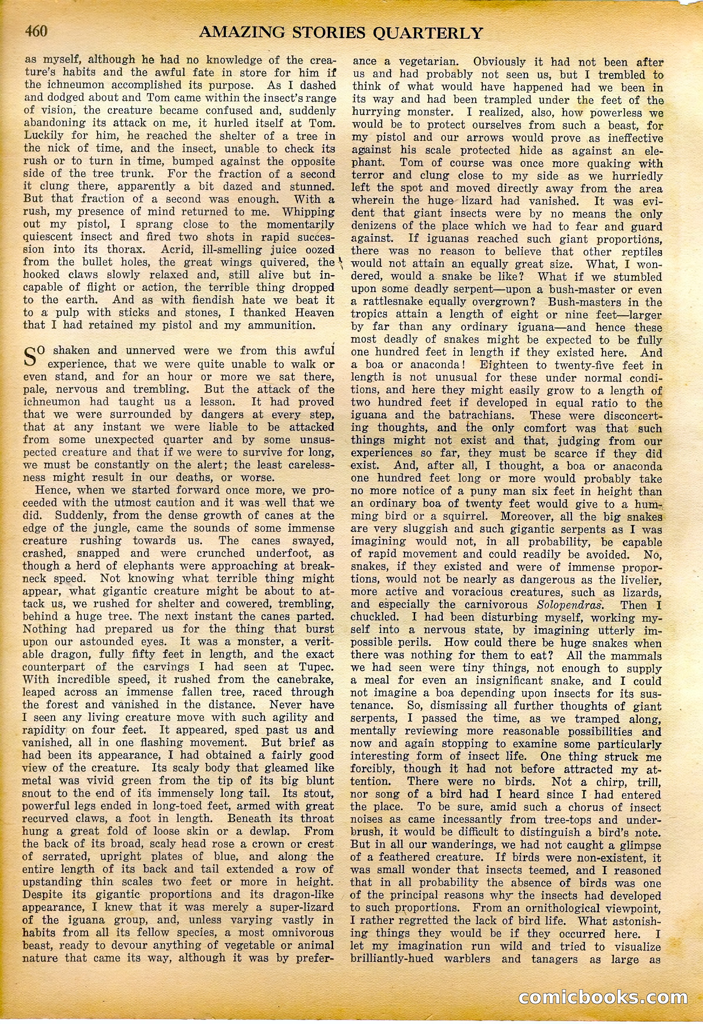 Amazing Stories Quarterly, Fall 1928 — page 29 of 145