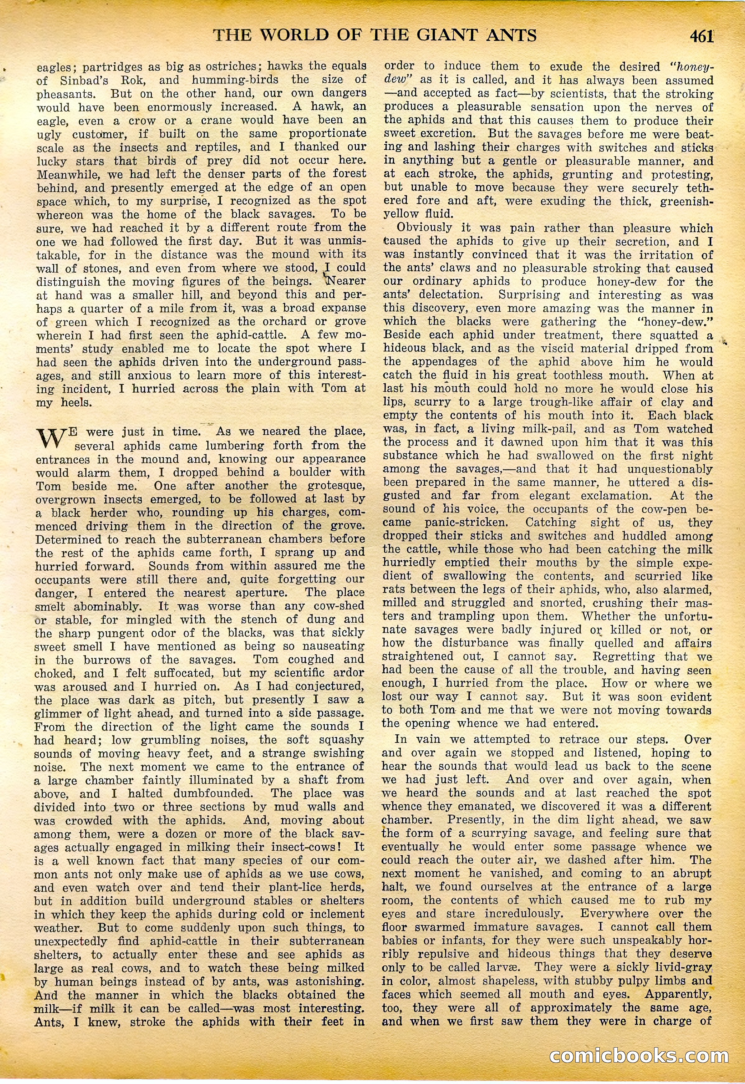 Amazing Stories Quarterly, Fall 1928 — page 30 of 145