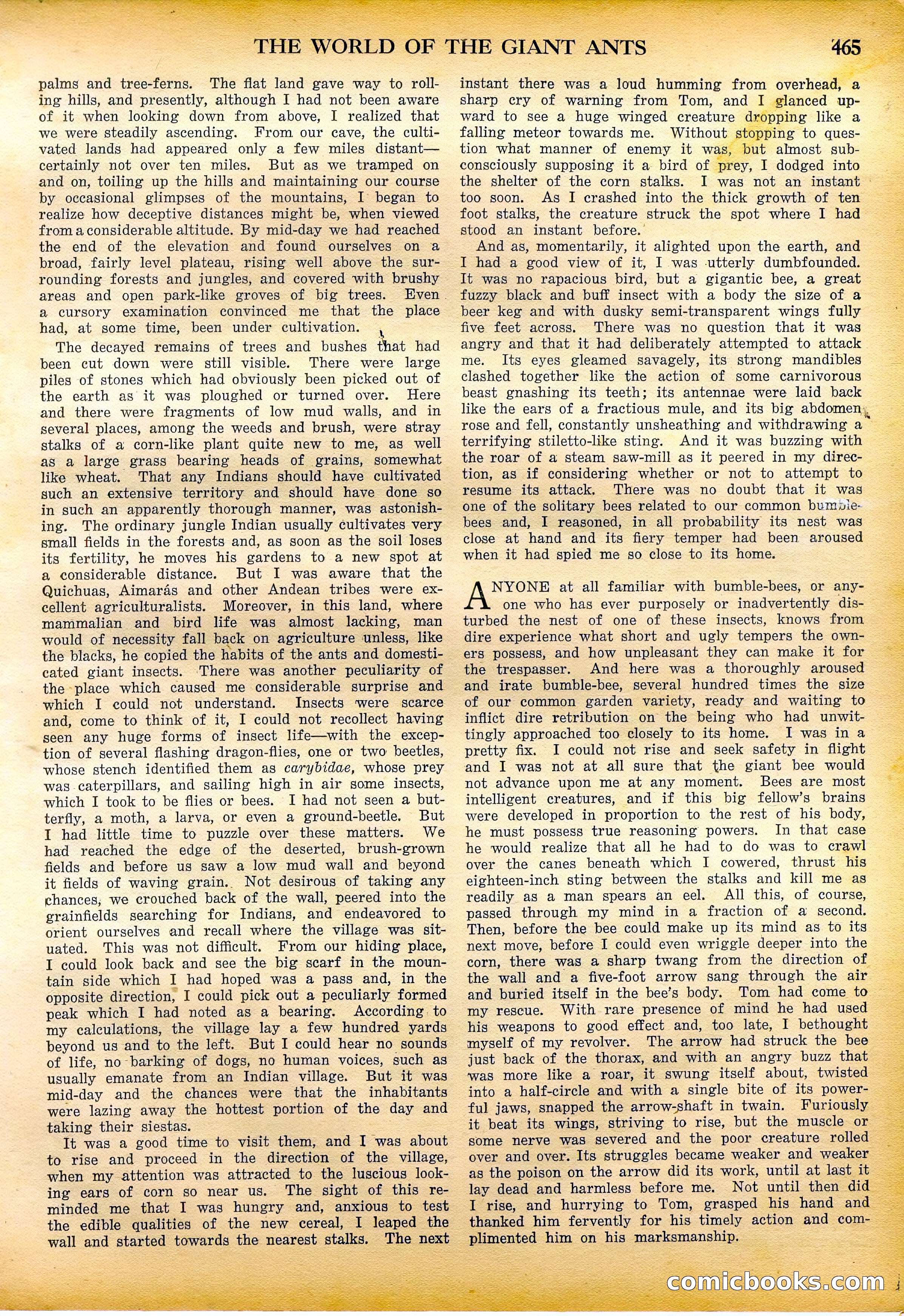 Amazing Stories Quarterly, Fall 1928 — page 34 of 145