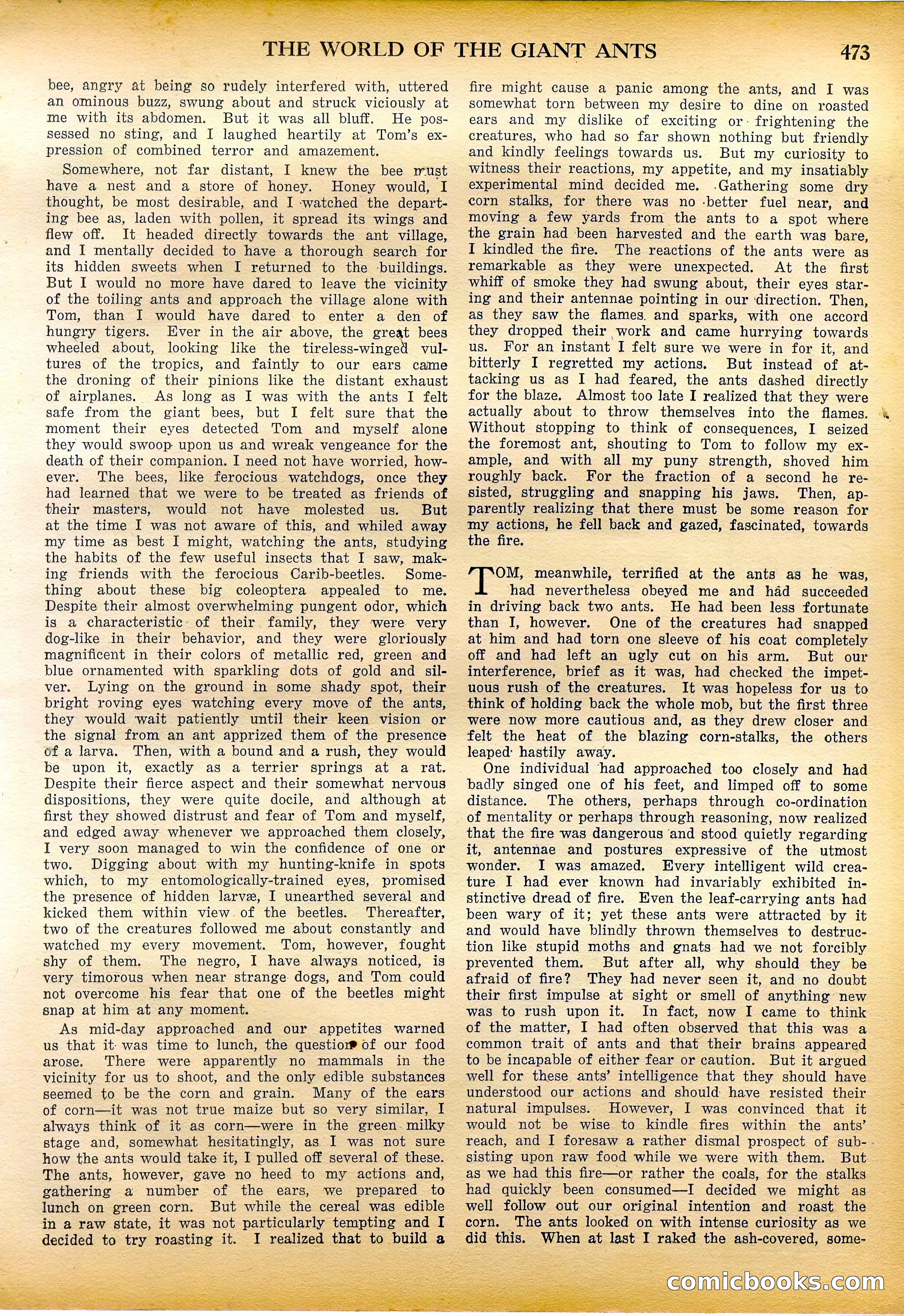 Amazing Stories Quarterly, Fall 1928 — page 42 of 145