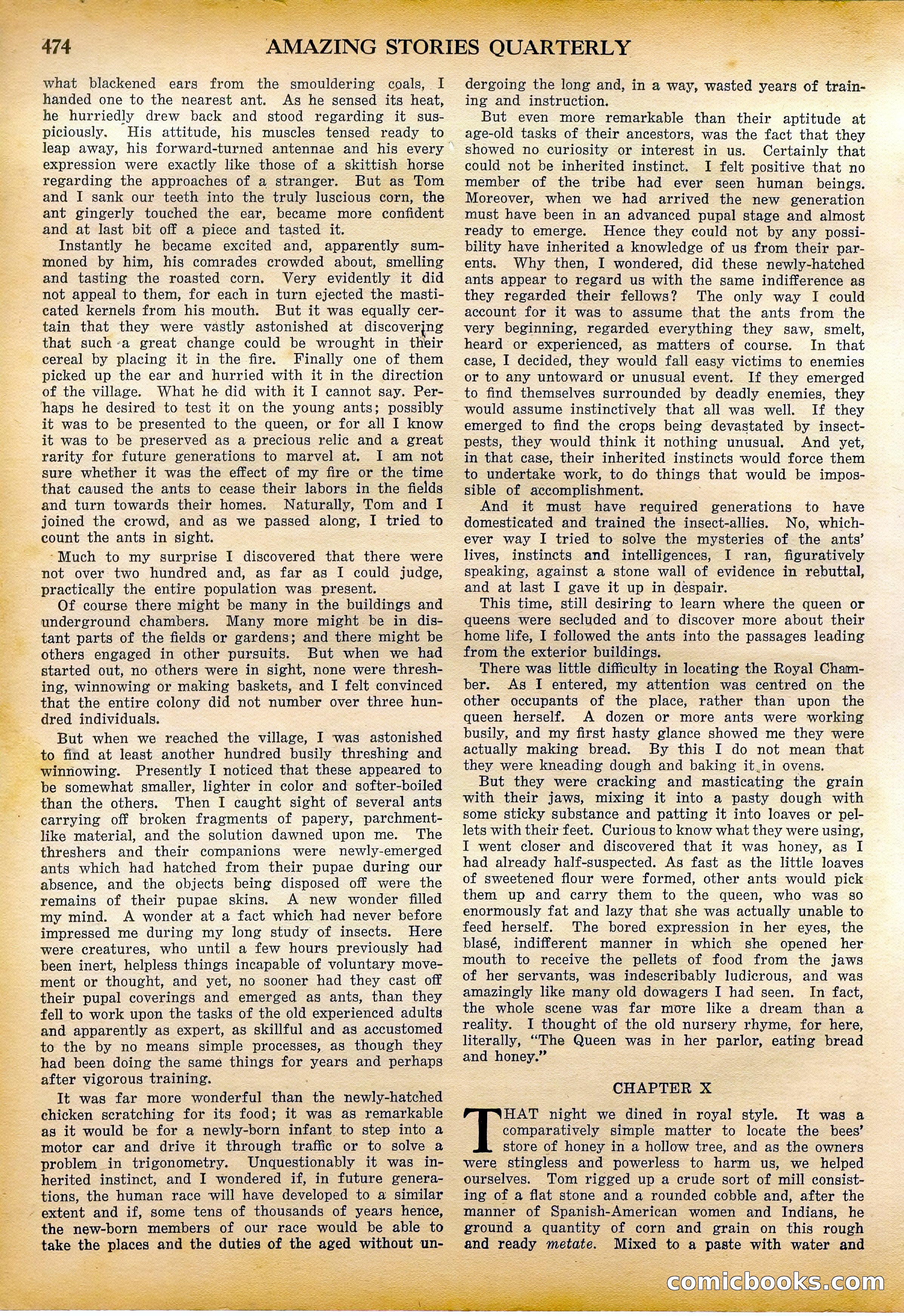 Amazing Stories Quarterly, Fall 1928 — page 43 of 145
