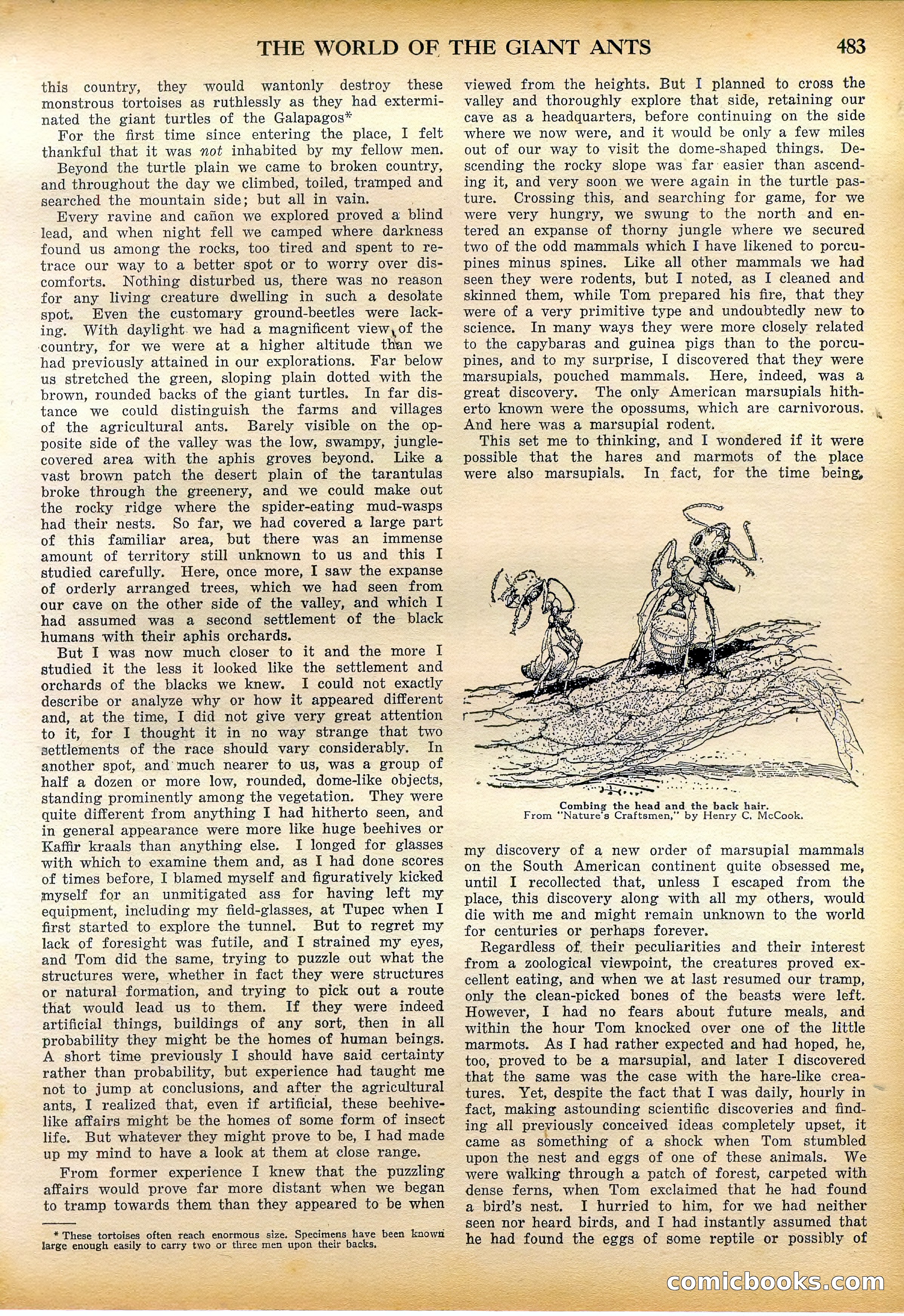 Amazing Stories Quarterly, Fall 1928 — page 52 of 145