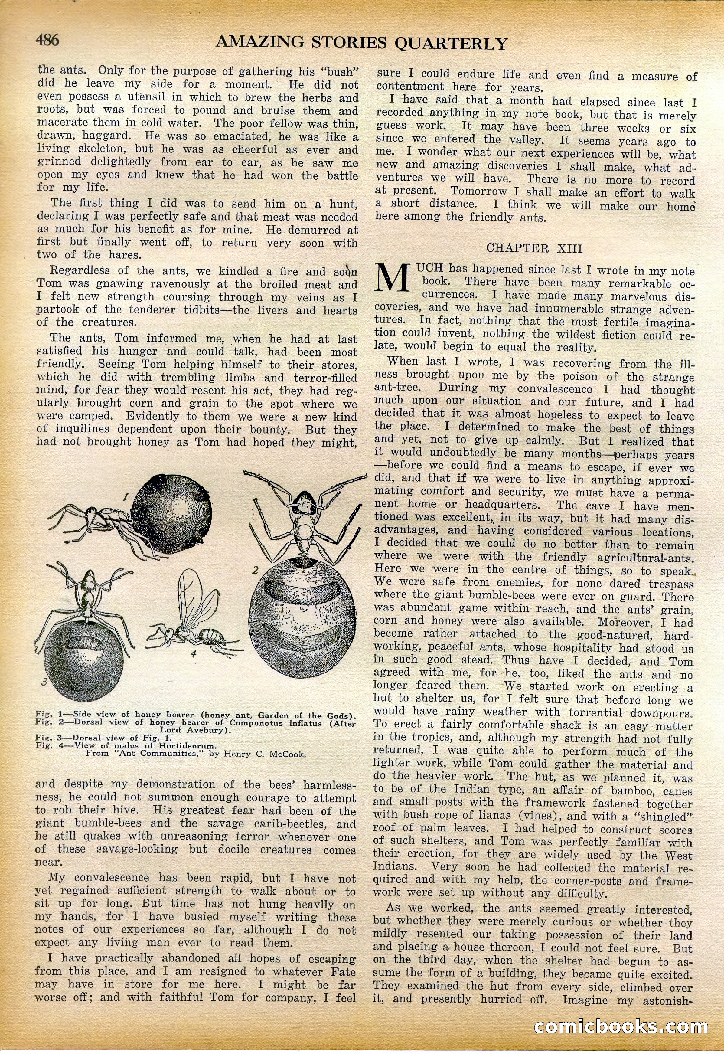 Amazing Stories Quarterly, Fall 1928 — page 55 of 145