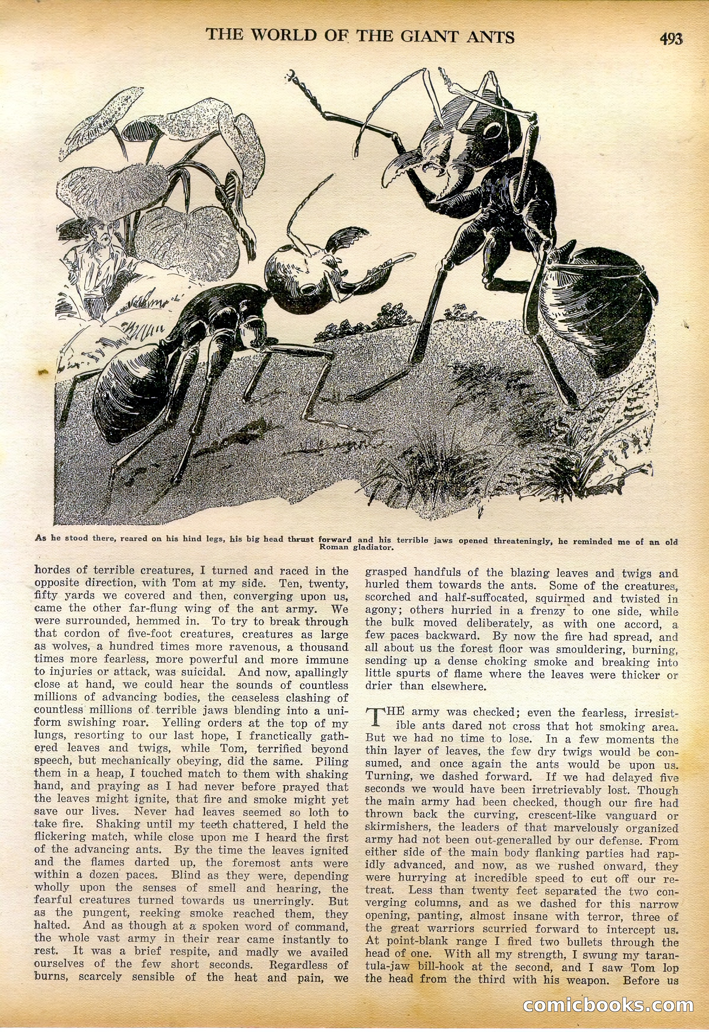 Amazing Stories Quarterly, Fall 1928 — page 62 of 145