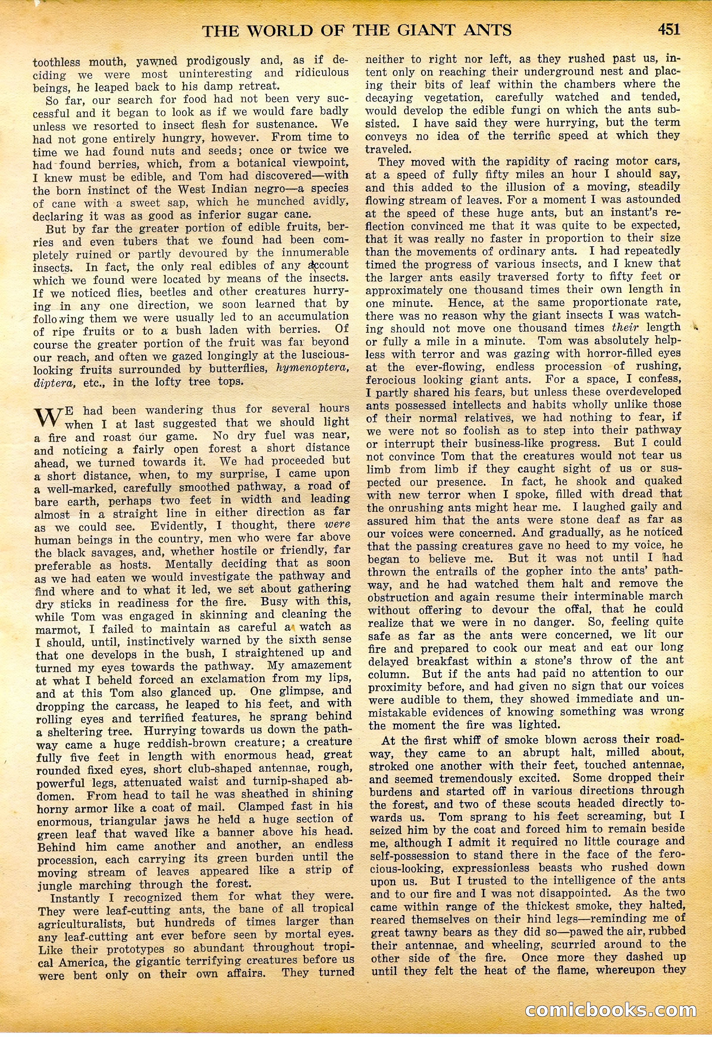 Amazing Stories Quarterly, Fall 1928 — page 20 of 145