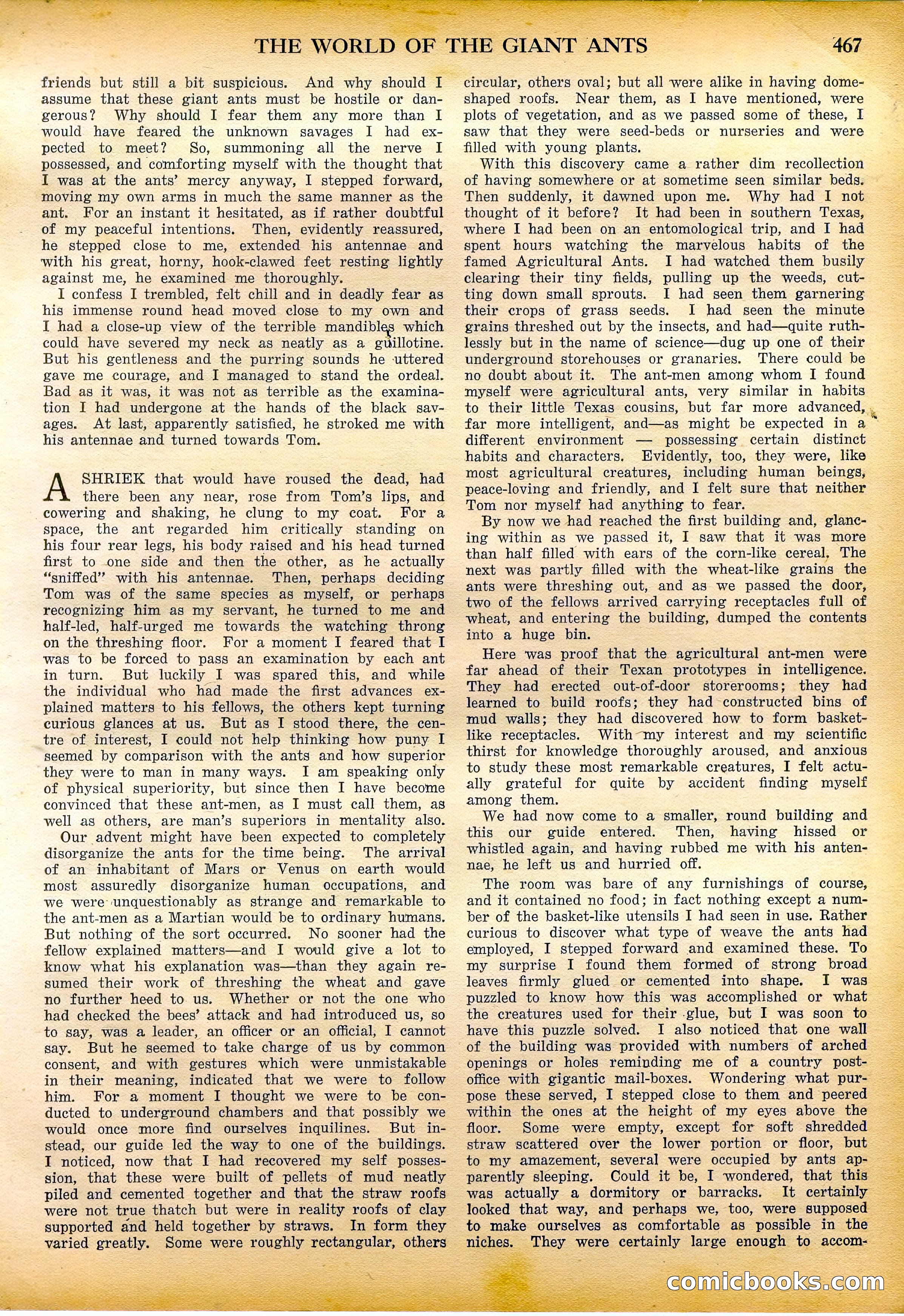 Amazing Stories Quarterly, Fall 1928 — page 36 of 145