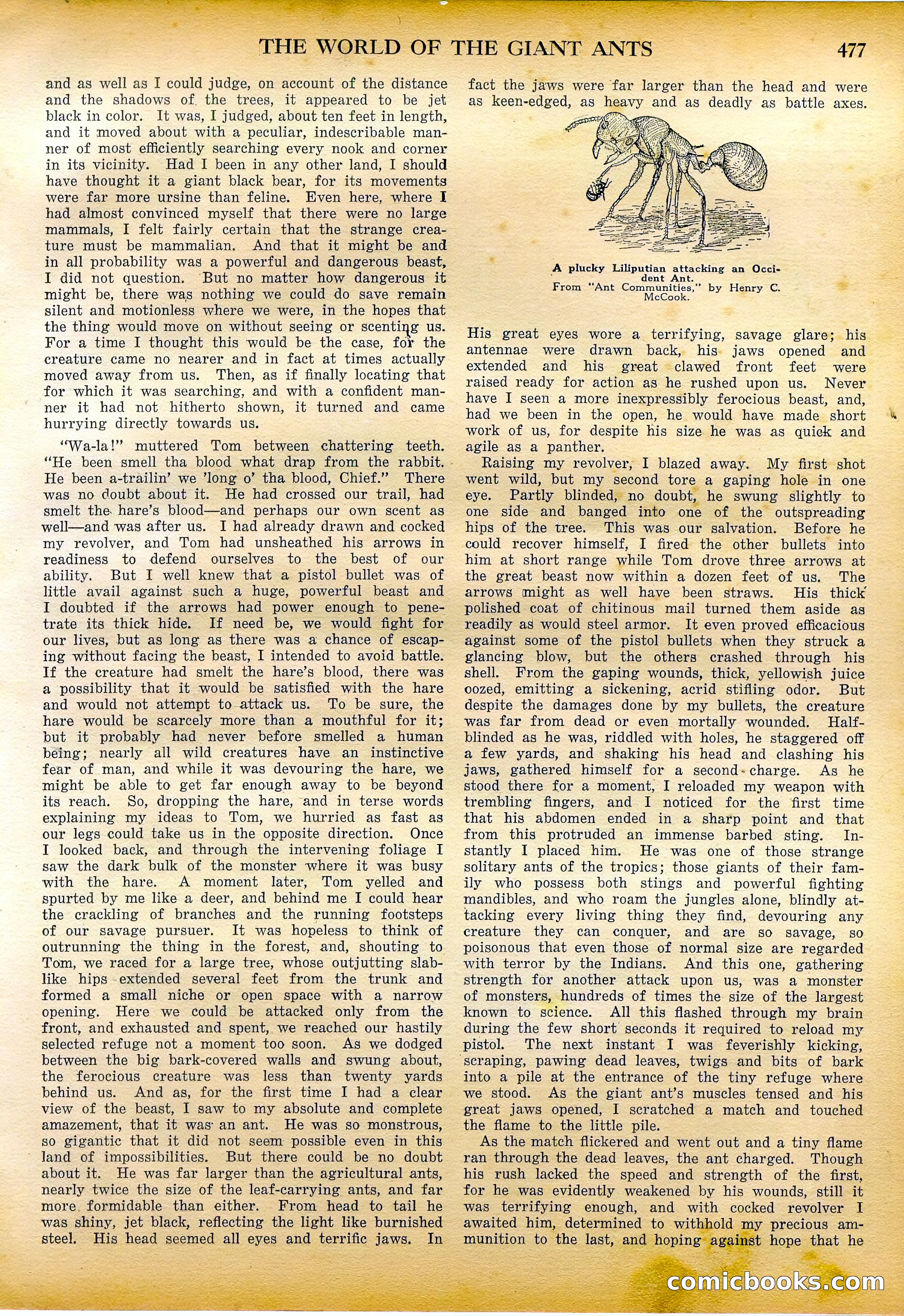 Amazing Stories Quarterly, Fall 1928 — page 46 of 145