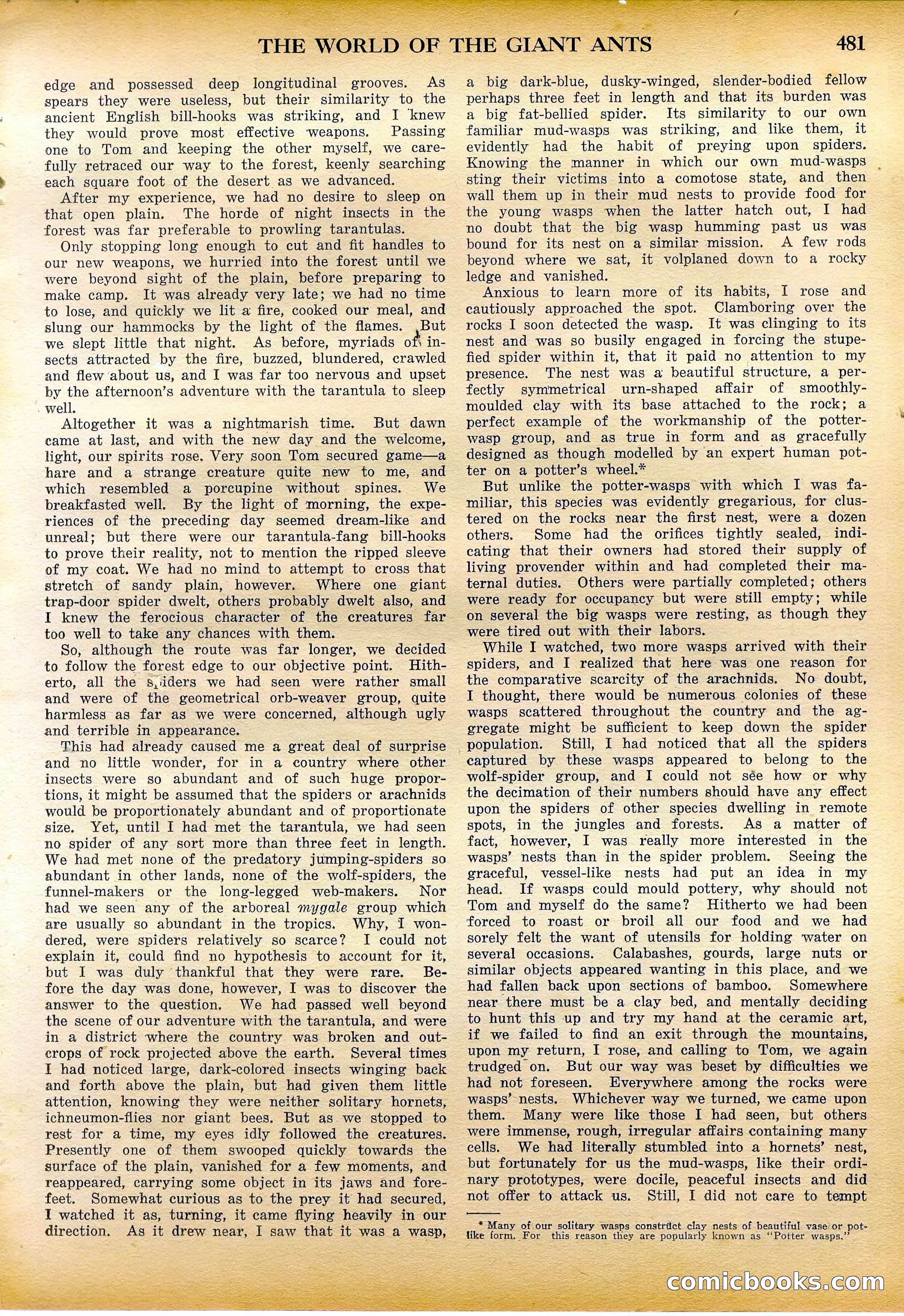 Amazing Stories Quarterly, Fall 1928 — page 50 of 145