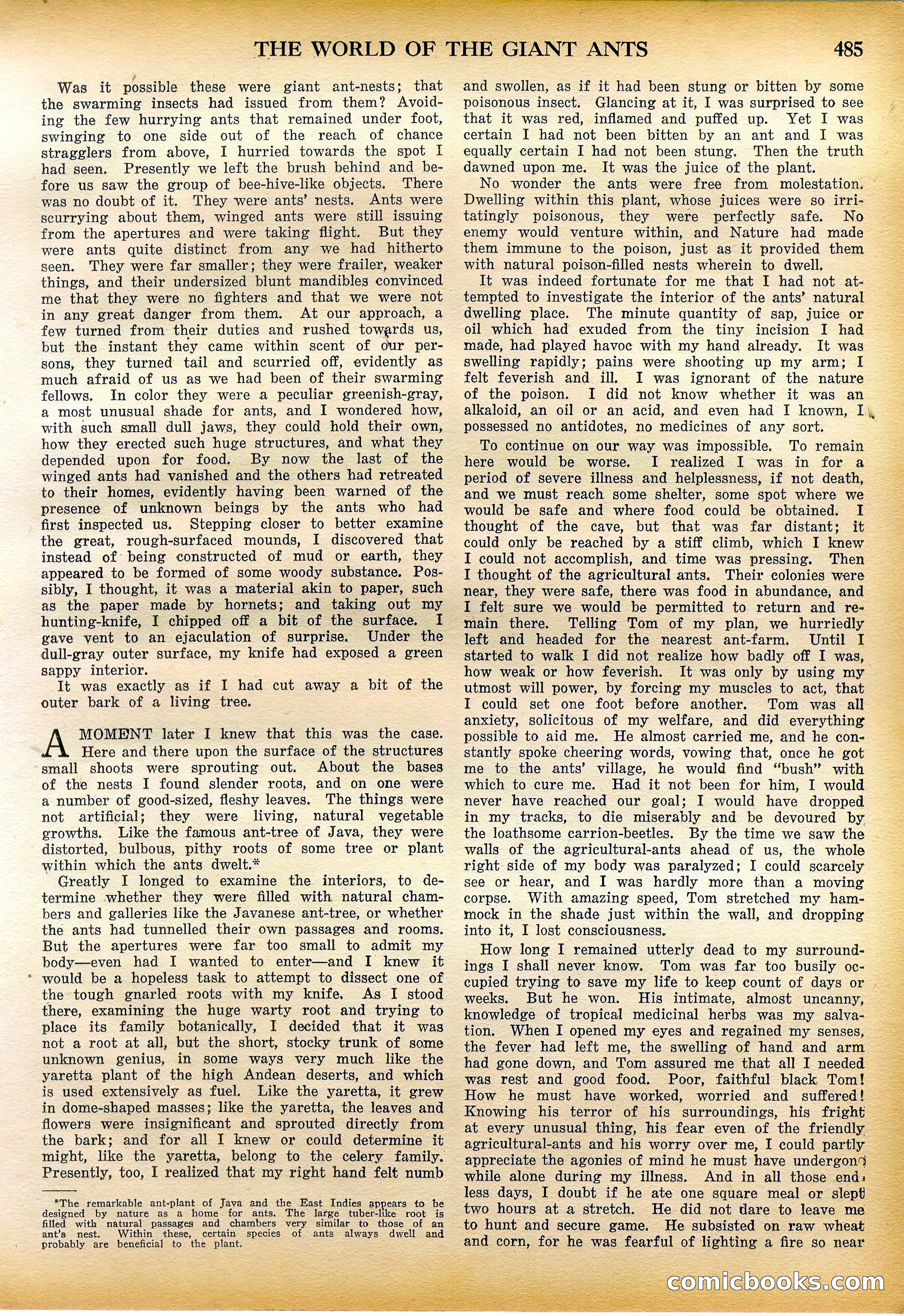 Amazing Stories Quarterly, Fall 1928 — page 54 of 145