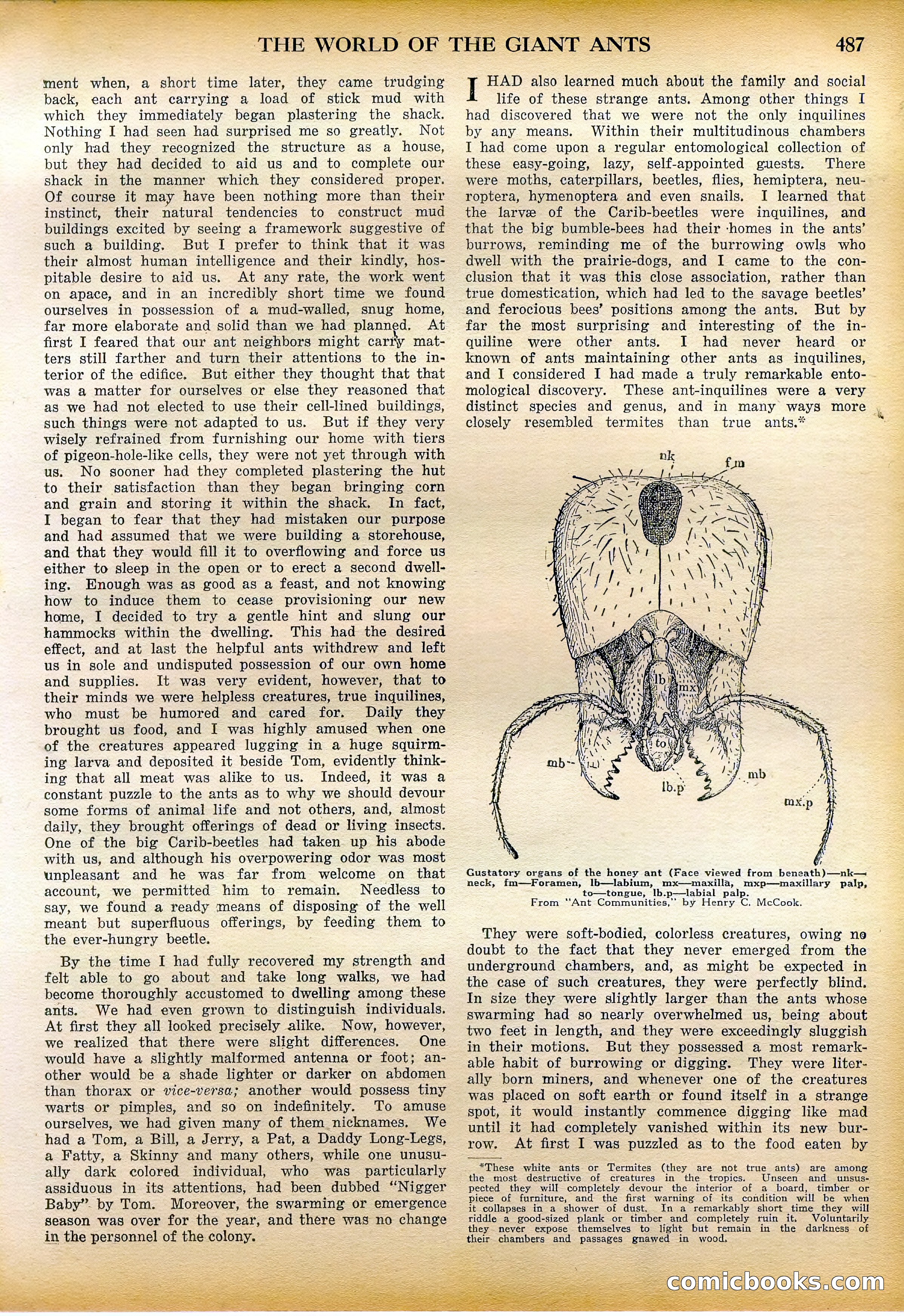 Amazing Stories Quarterly, Fall 1928 — page 56 of 145