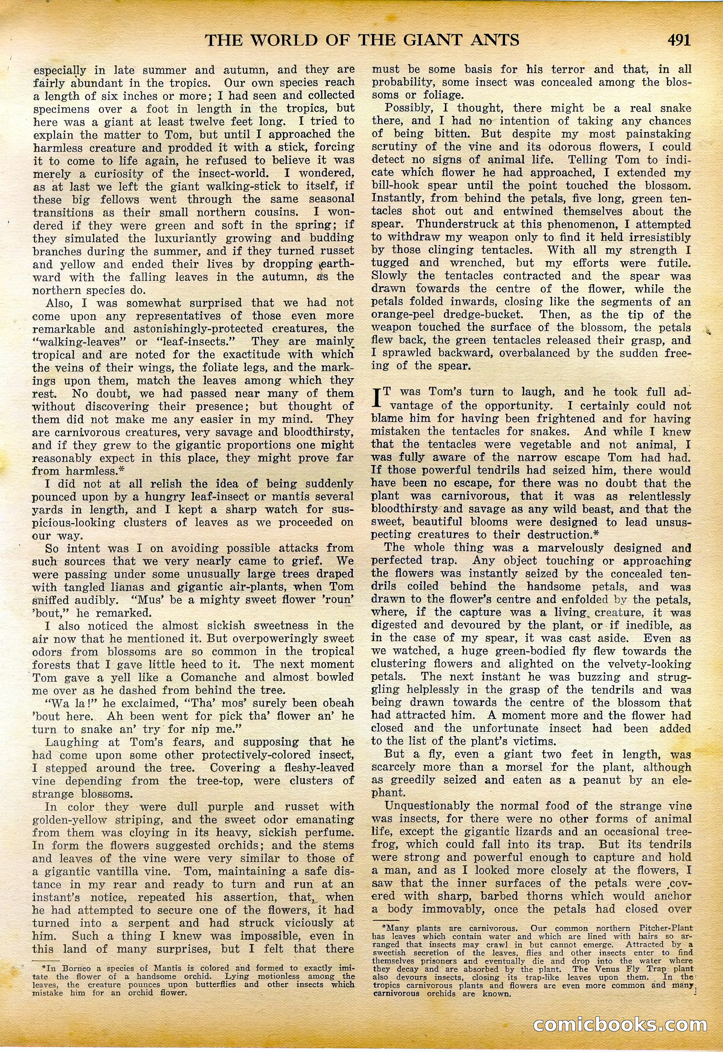 Amazing Stories Quarterly, Fall 1928 — page 60 of 145