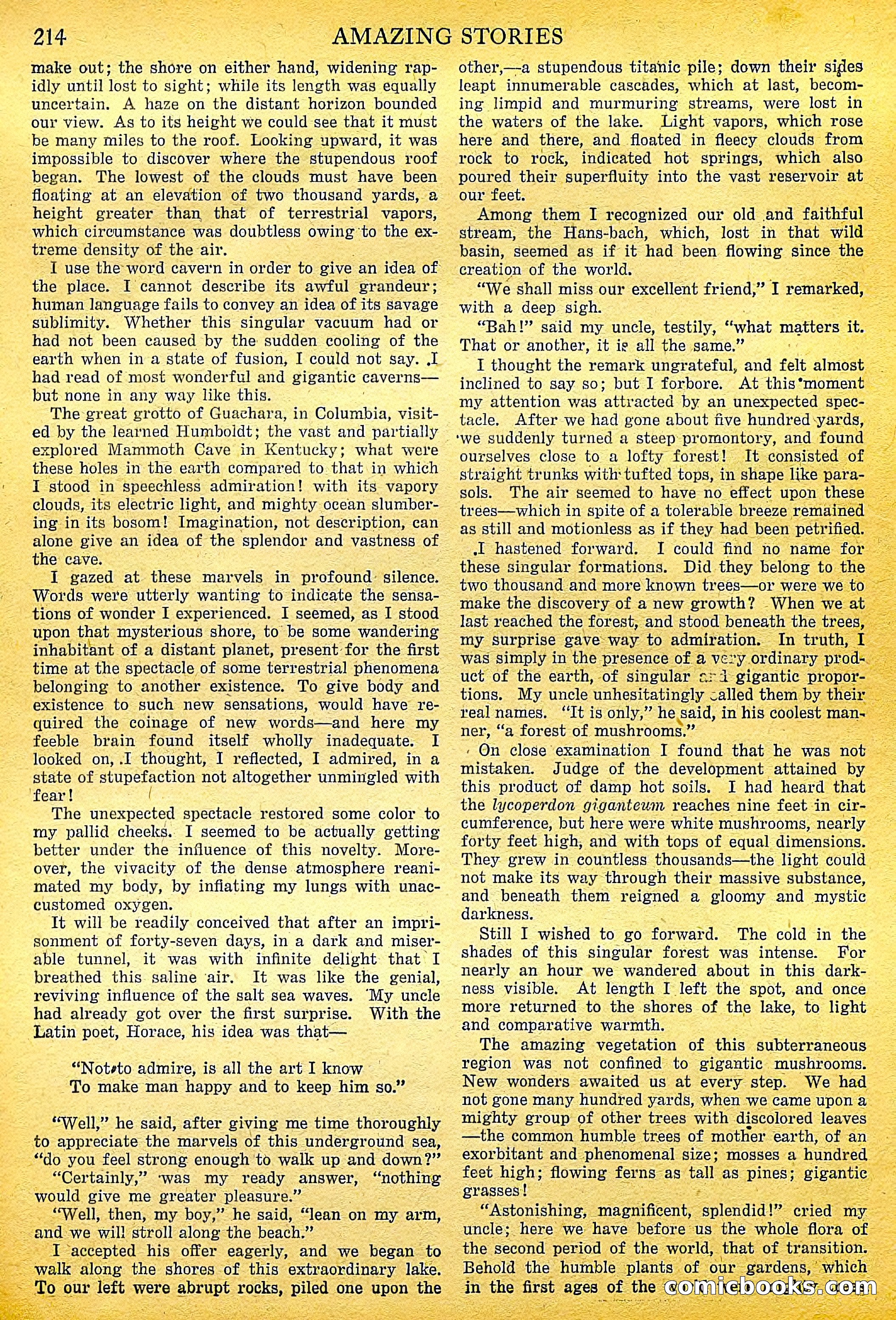 A Trip to the Center of the Earth by Jules Verne — page 44 of 78