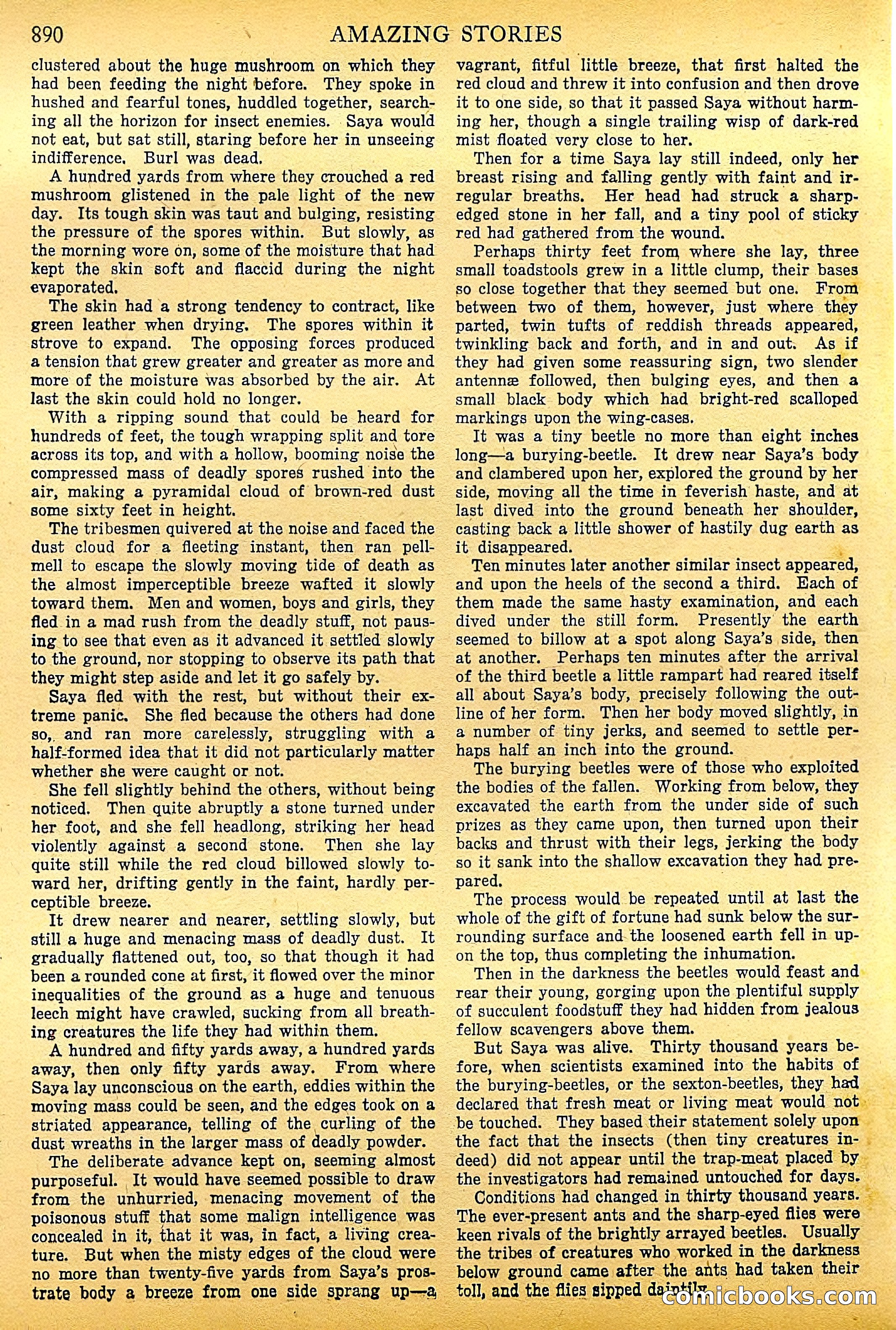 Amazing Stories, Vol. 1 No. 10 — page 19 of 107