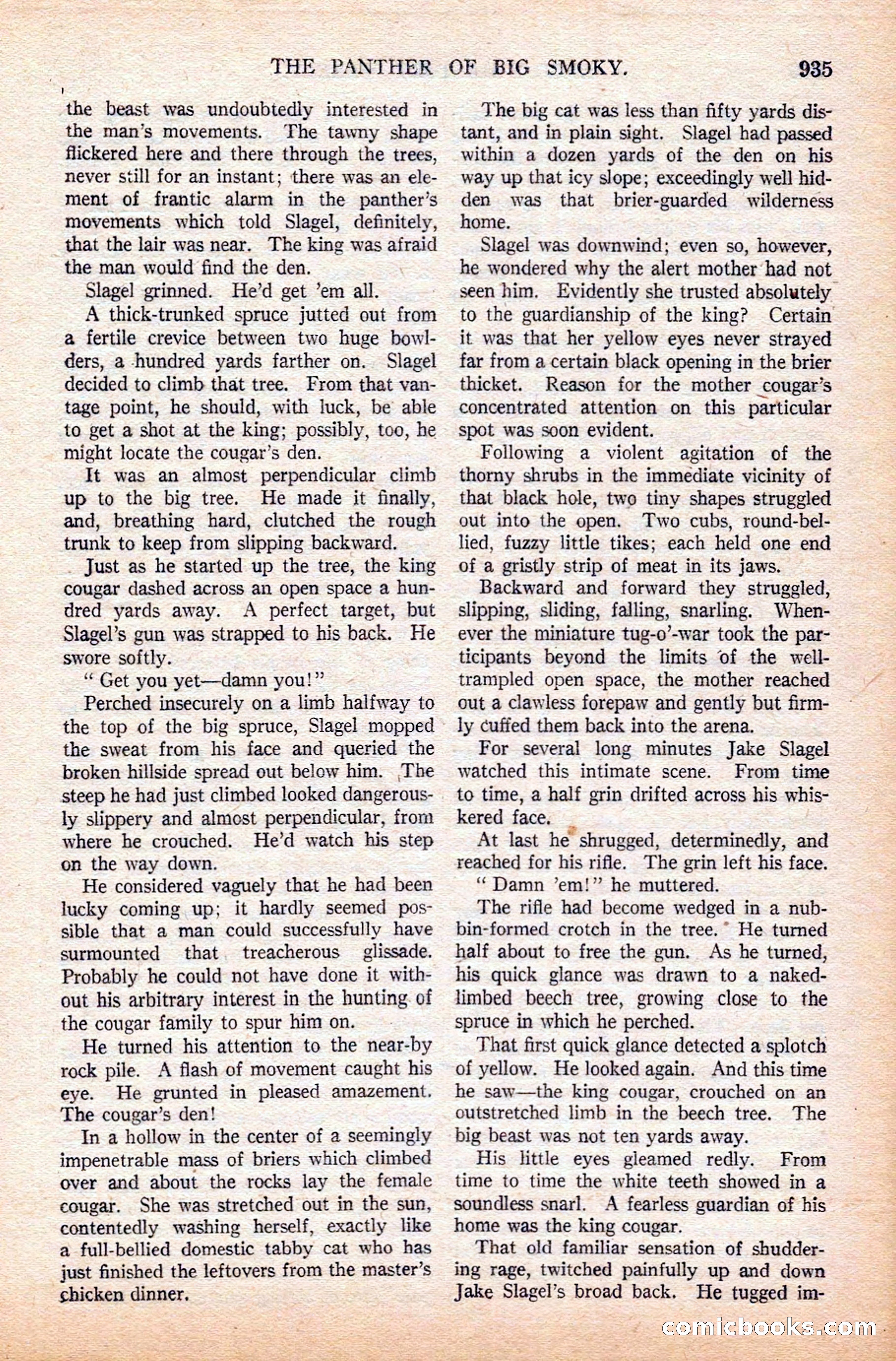 Argosy All-Story Weekly — page 137 of 164