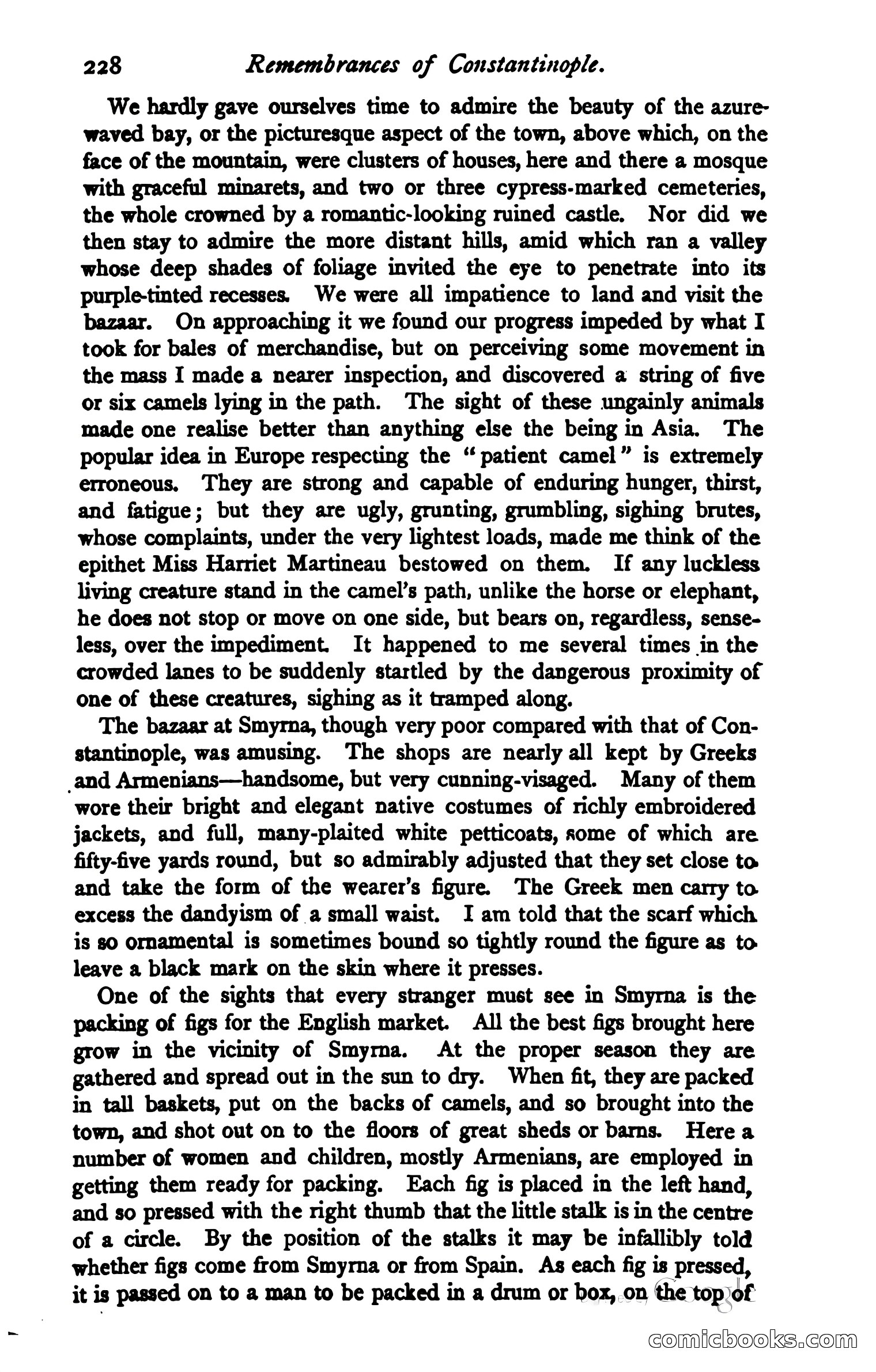 The Argosy — page 242 of 396