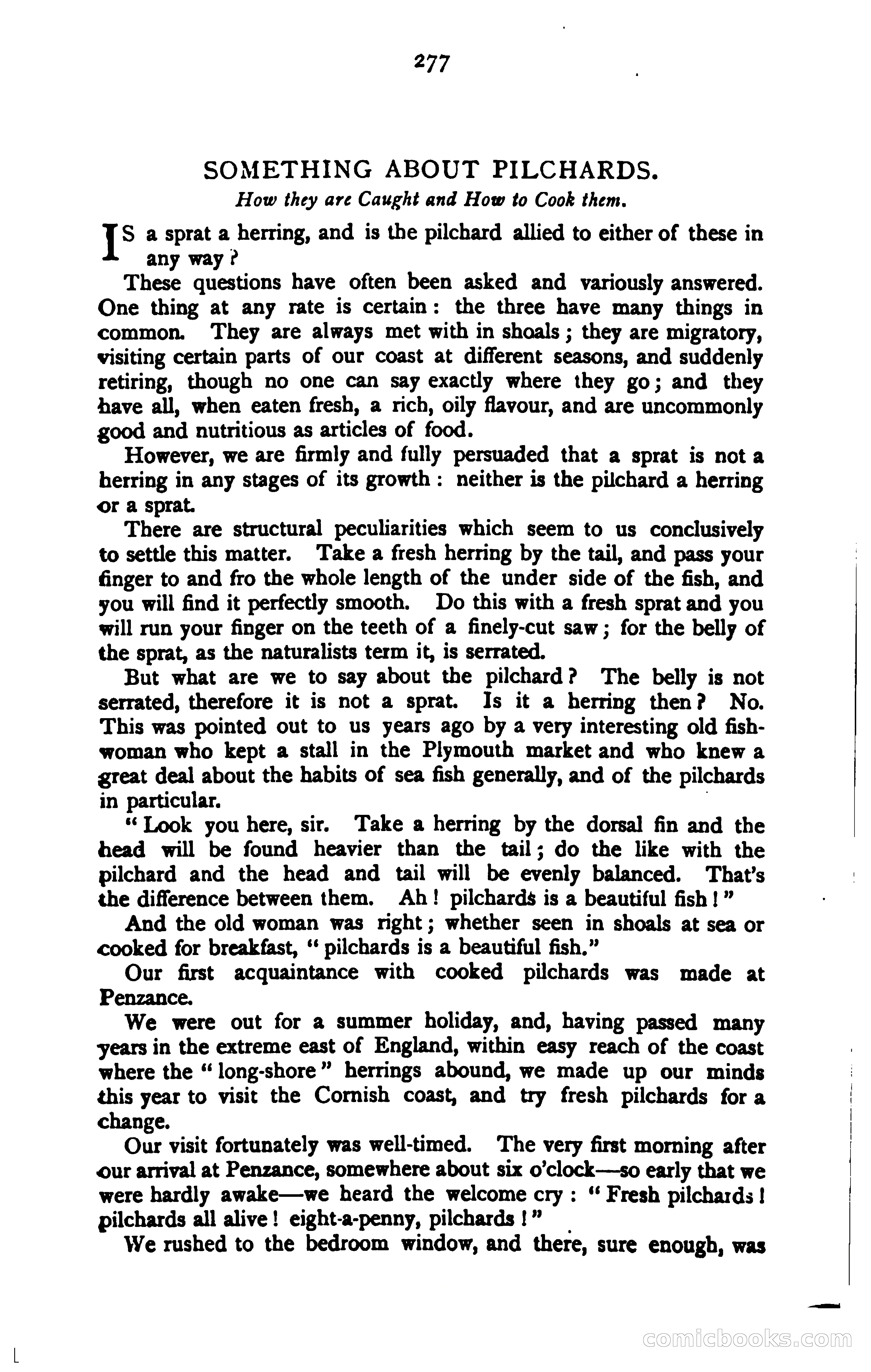 The Argosy — page 297 of 399