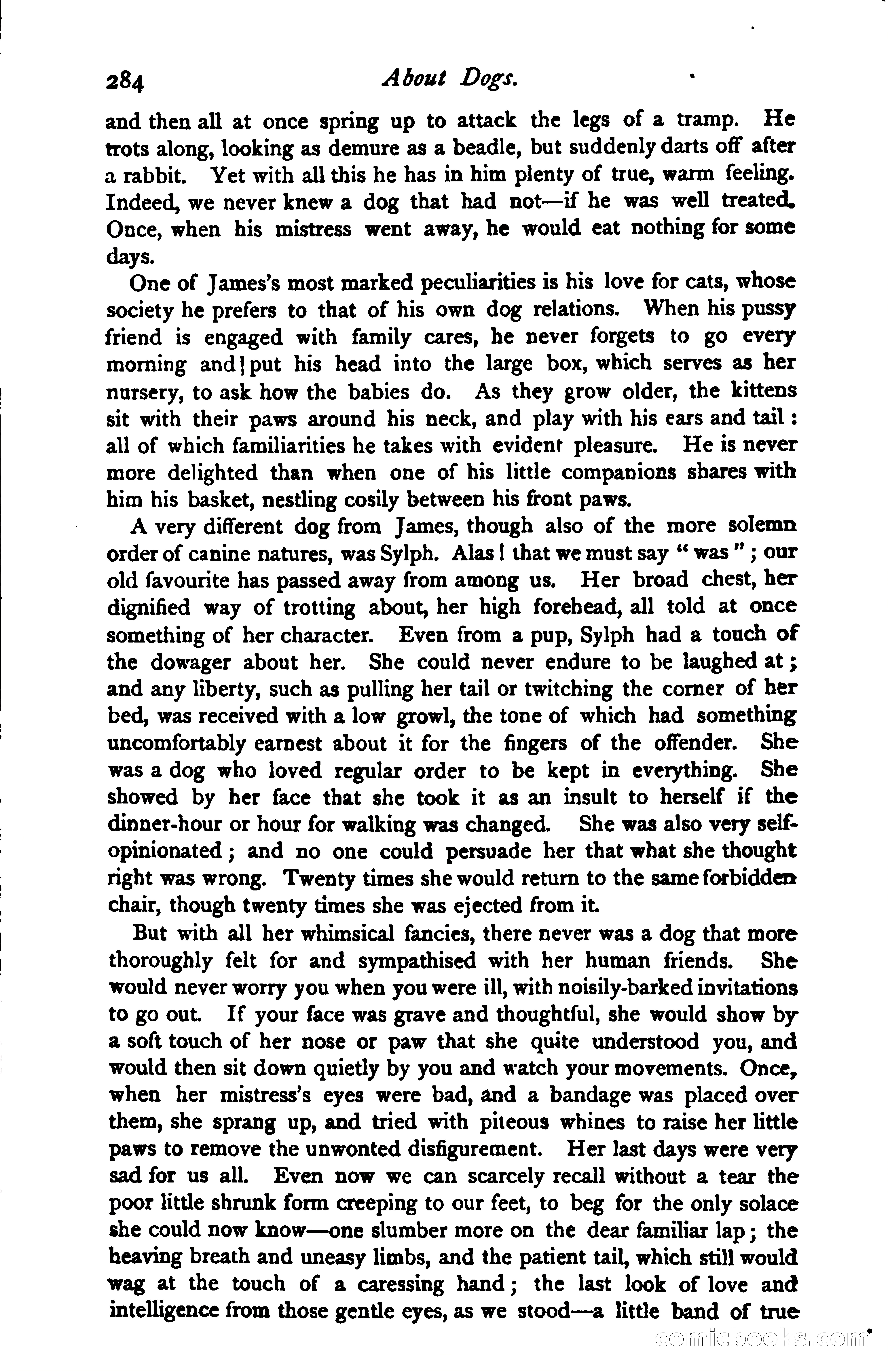 The Argosy — page 298 of 397