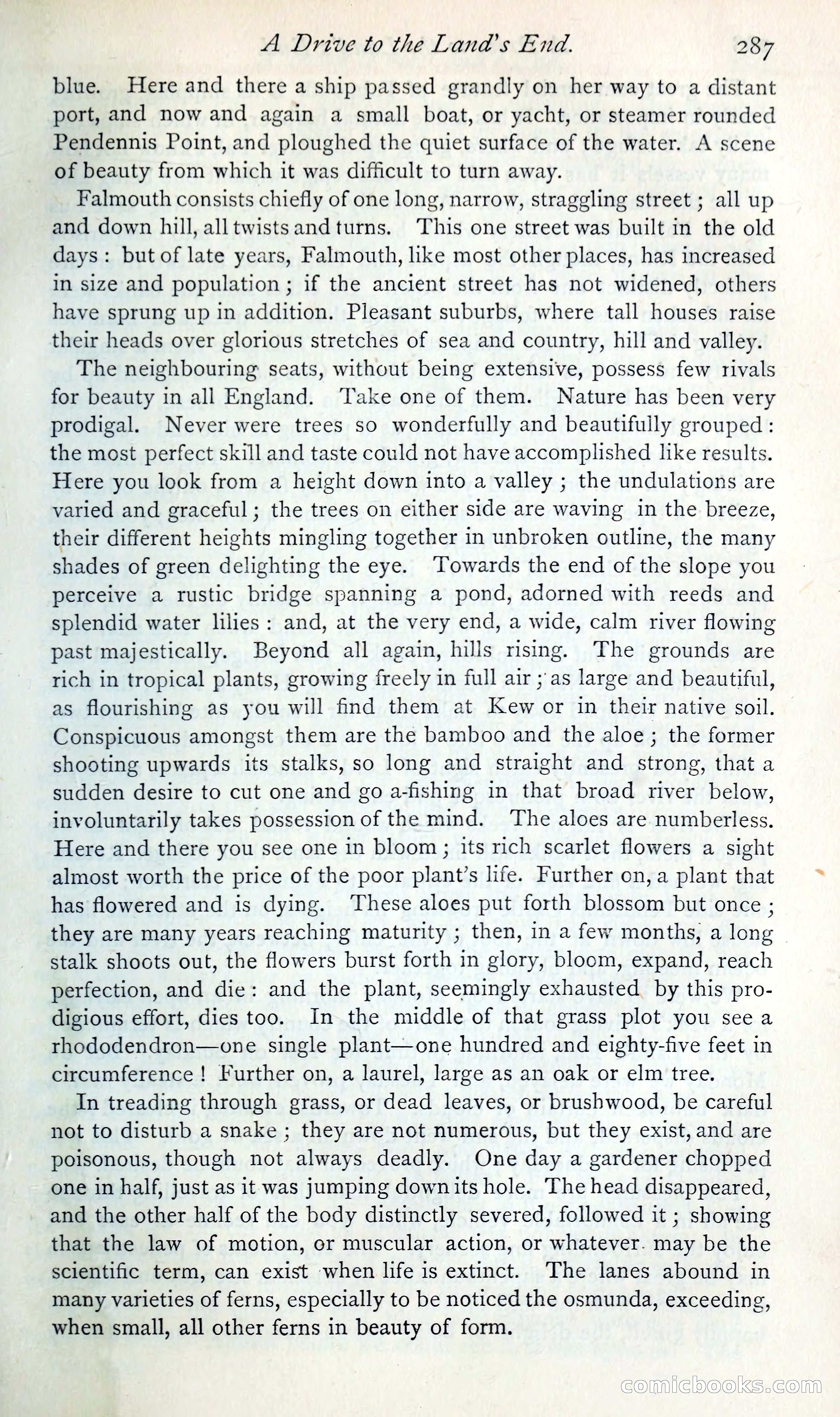 The Argosy — page 308 of 393