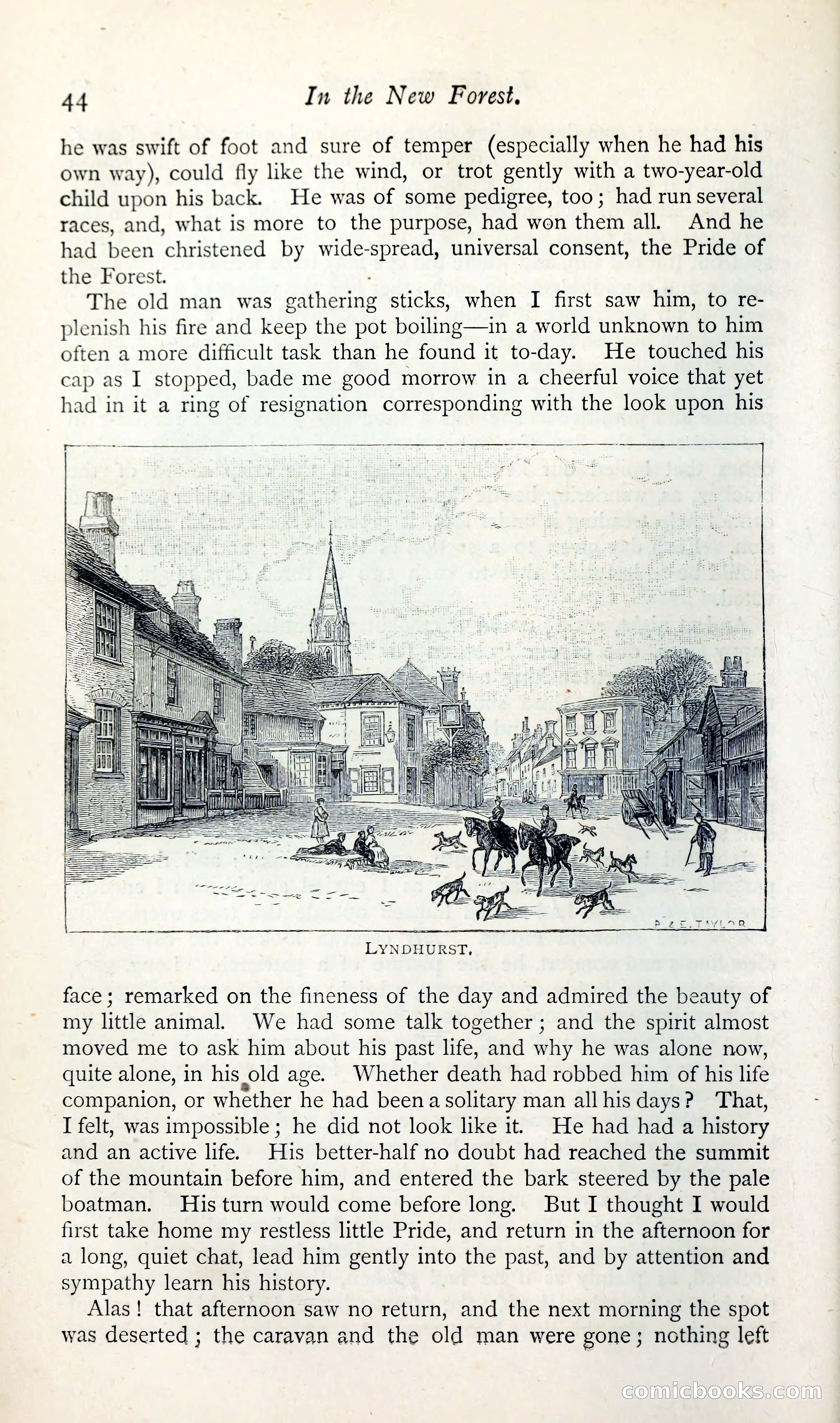 The Argosy — page 57 of 398