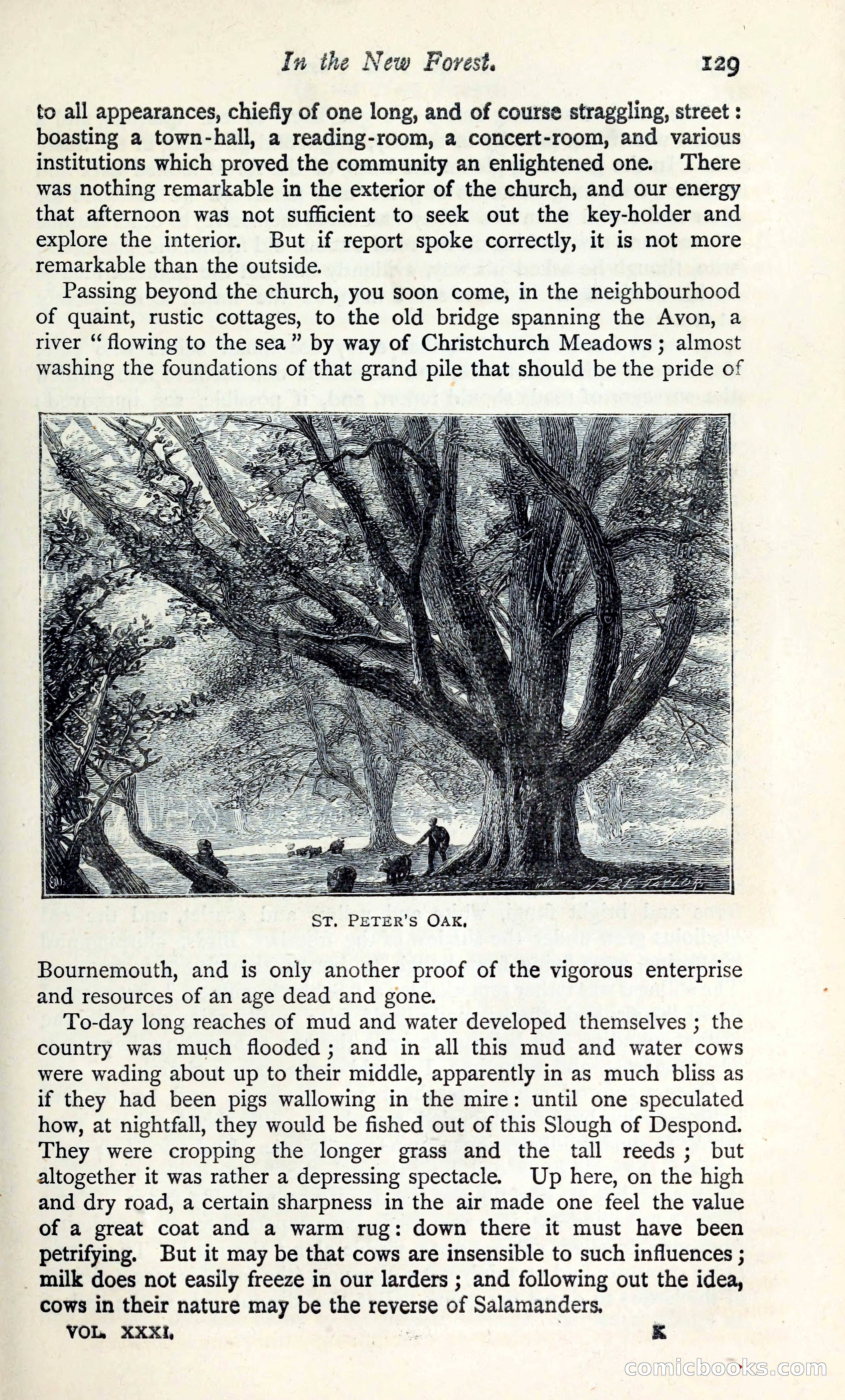 The Argosy — page 144 of 398
