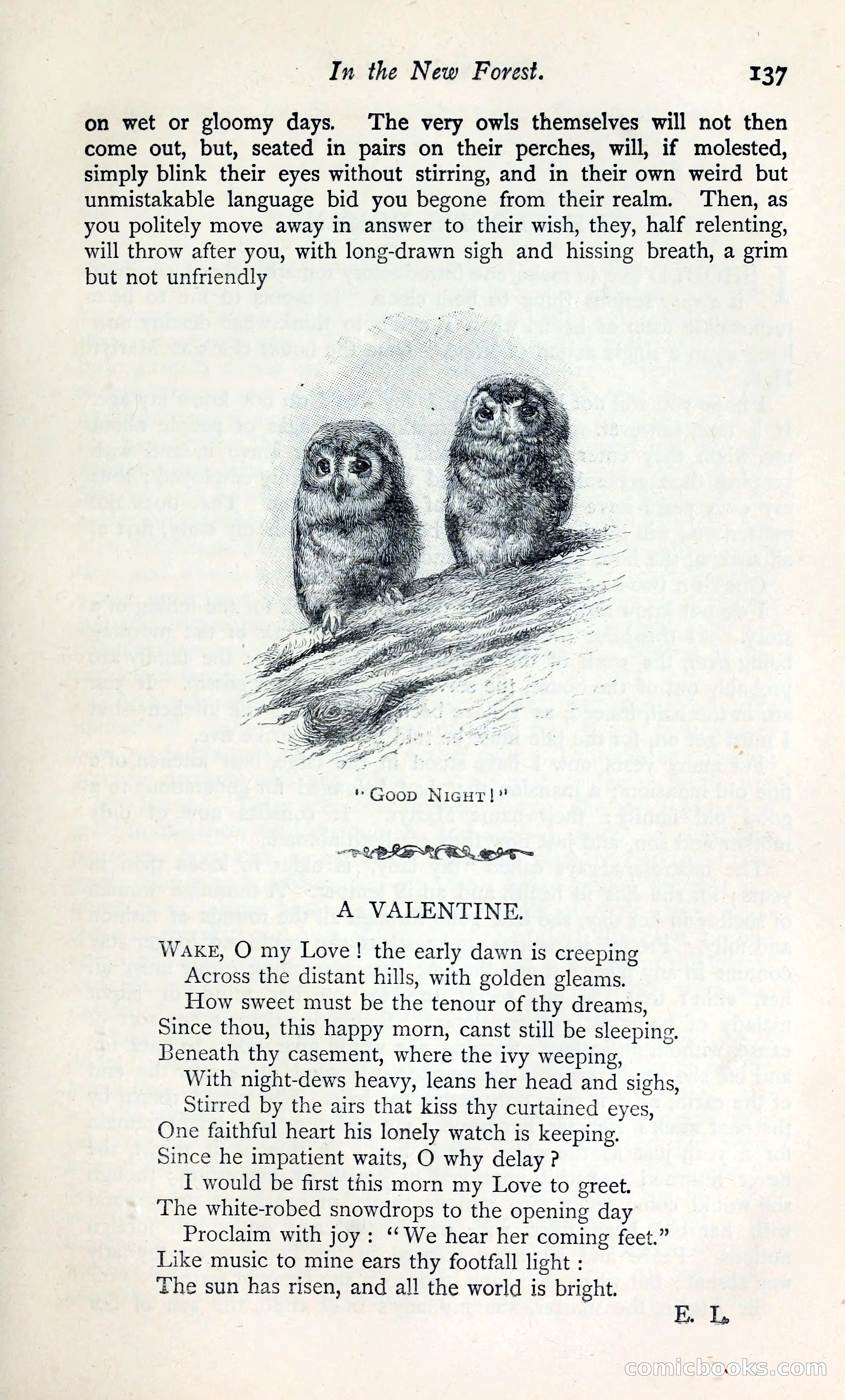 The Argosy — page 152 of 398