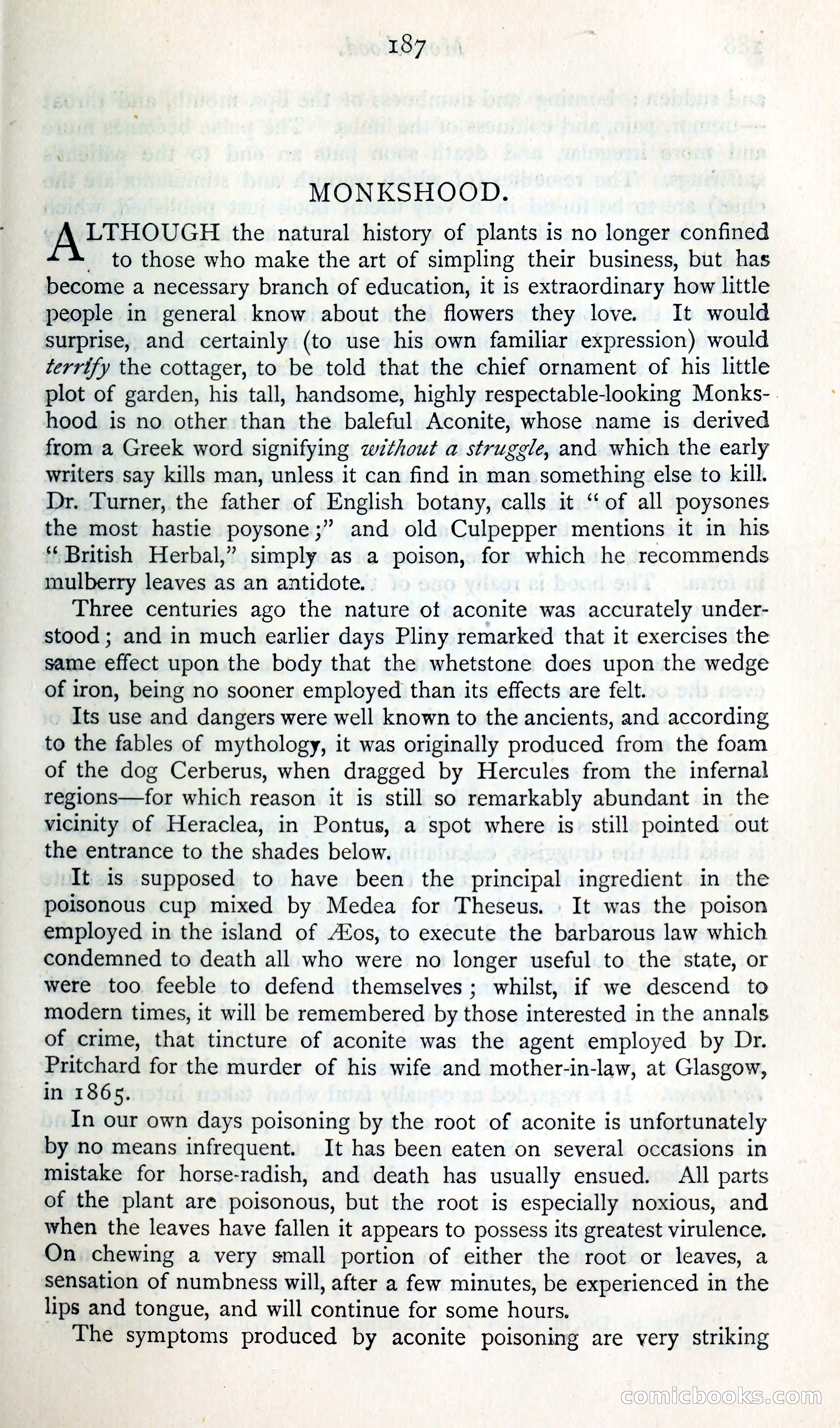 The Argosy — page 204 of 398