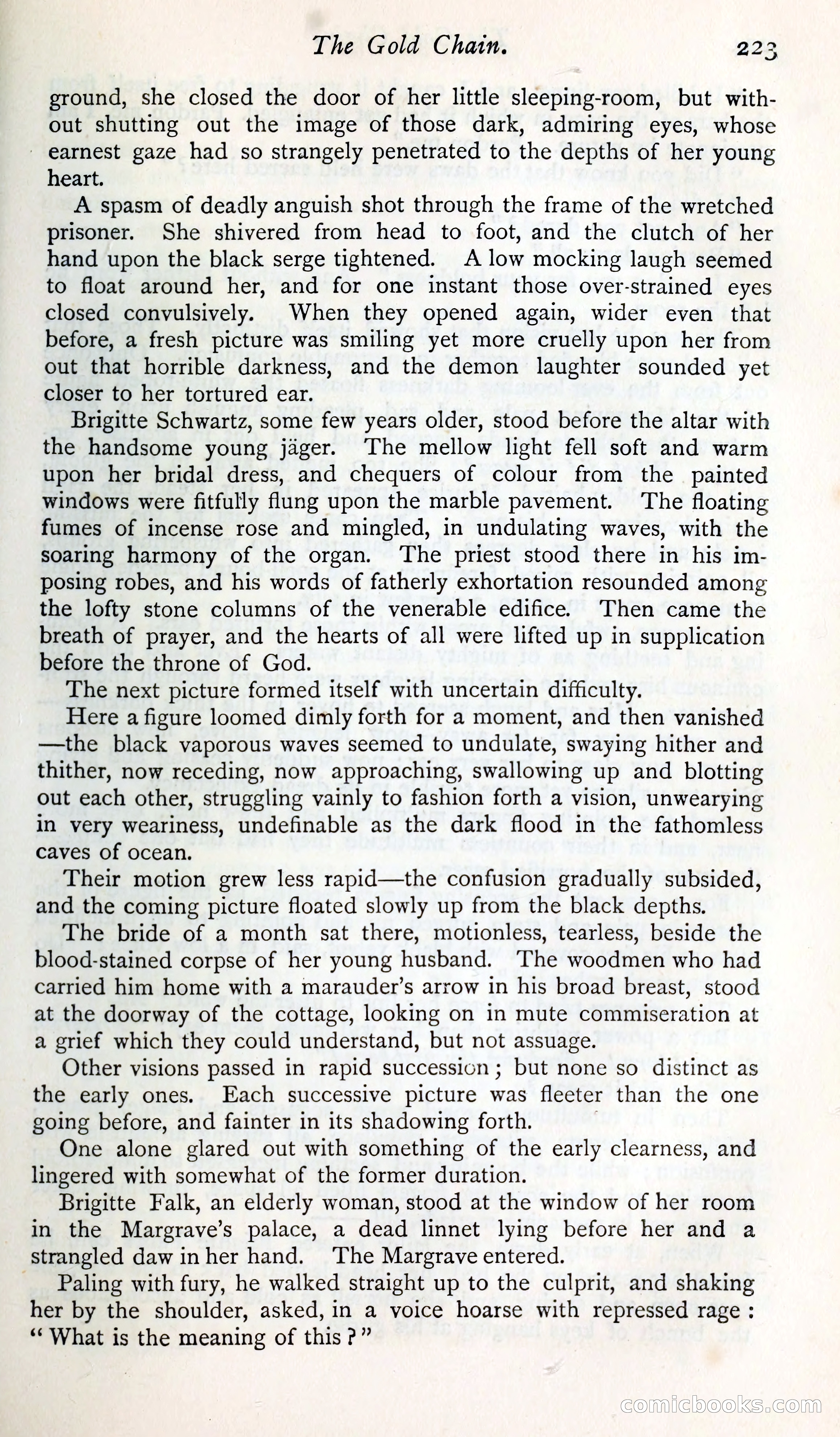 The Argosy — page 242 of 393