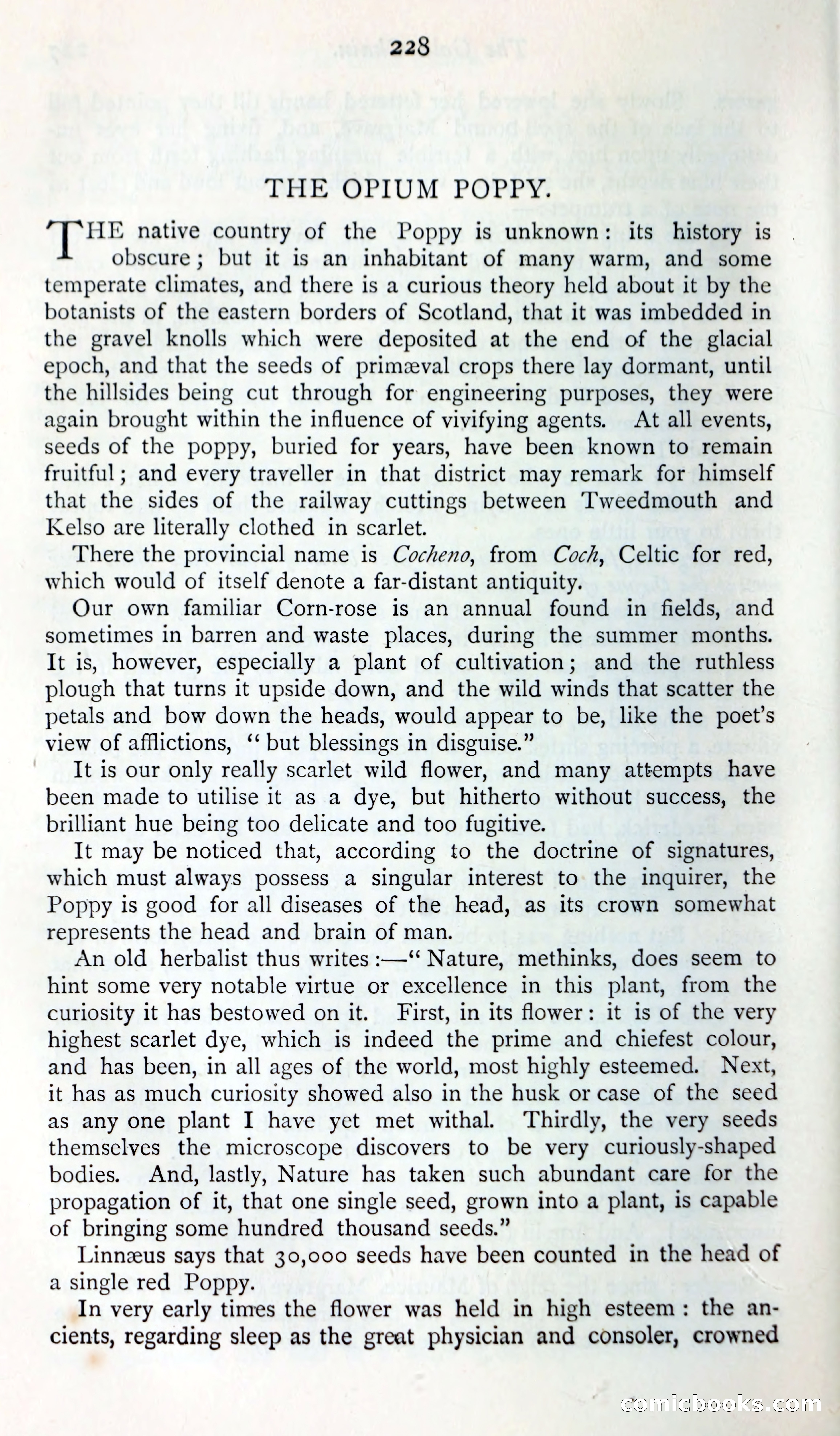 The Argosy — page 247 of 393