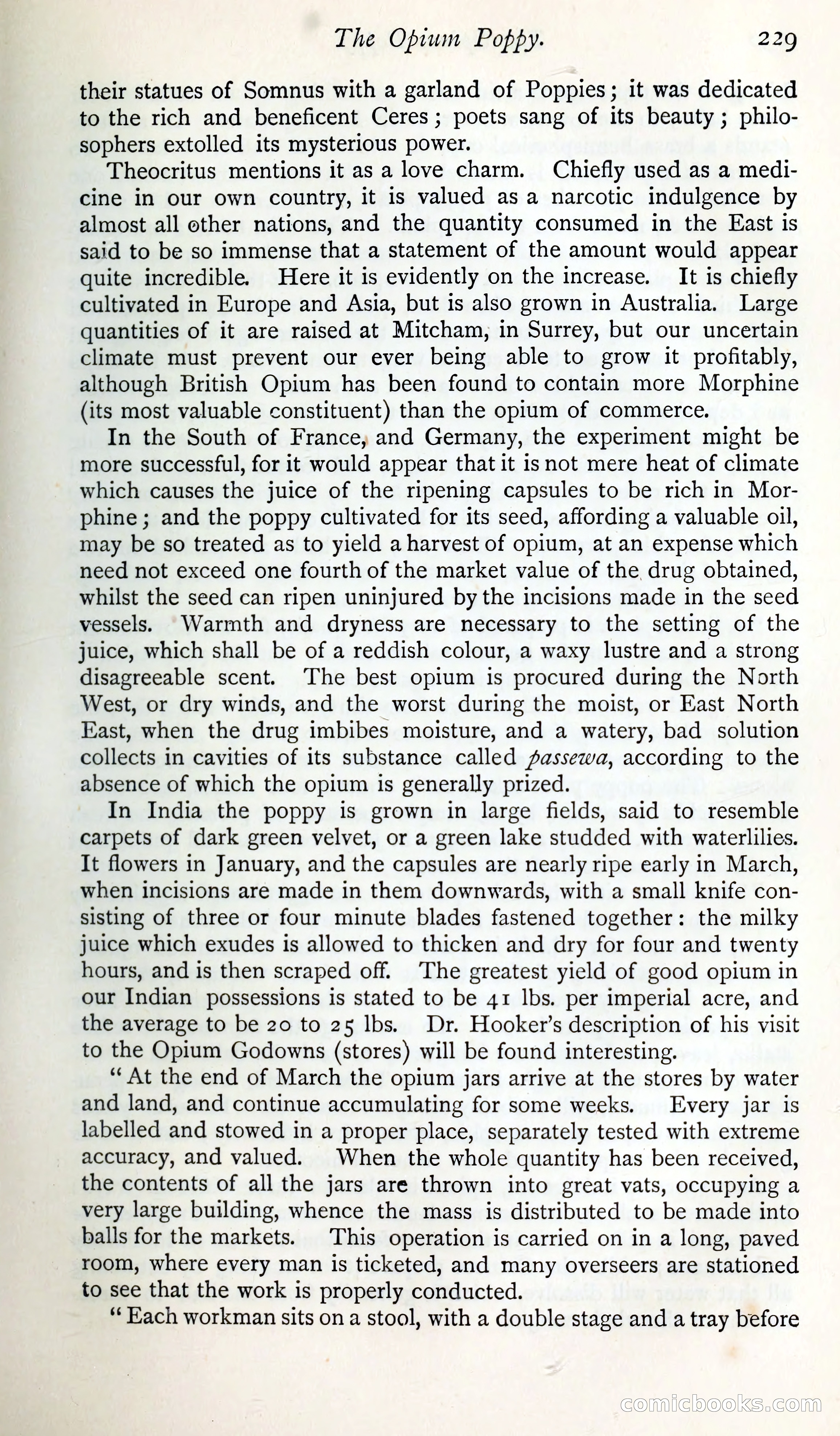 The Argosy — page 248 of 393