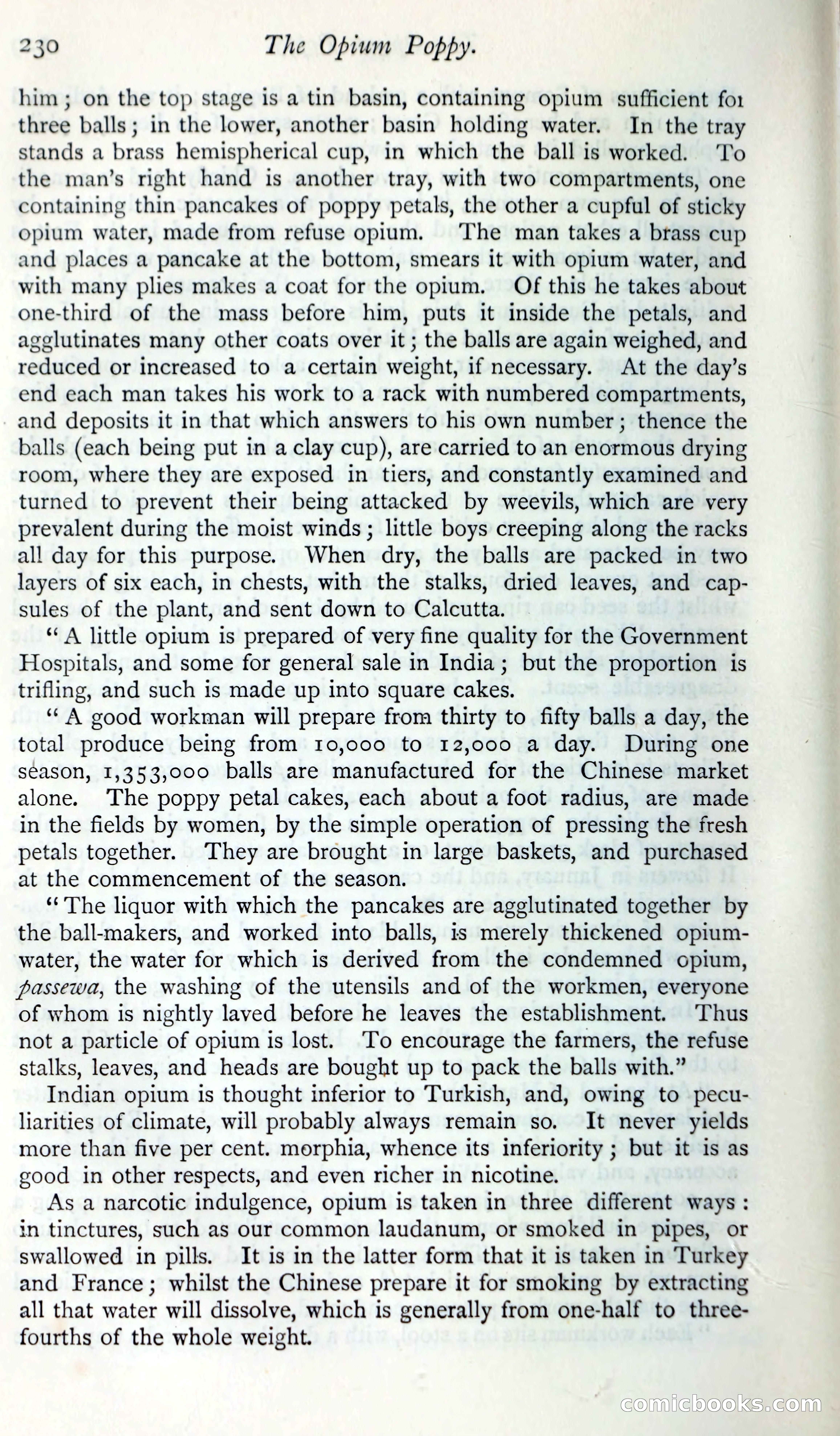 The Argosy — page 249 of 393