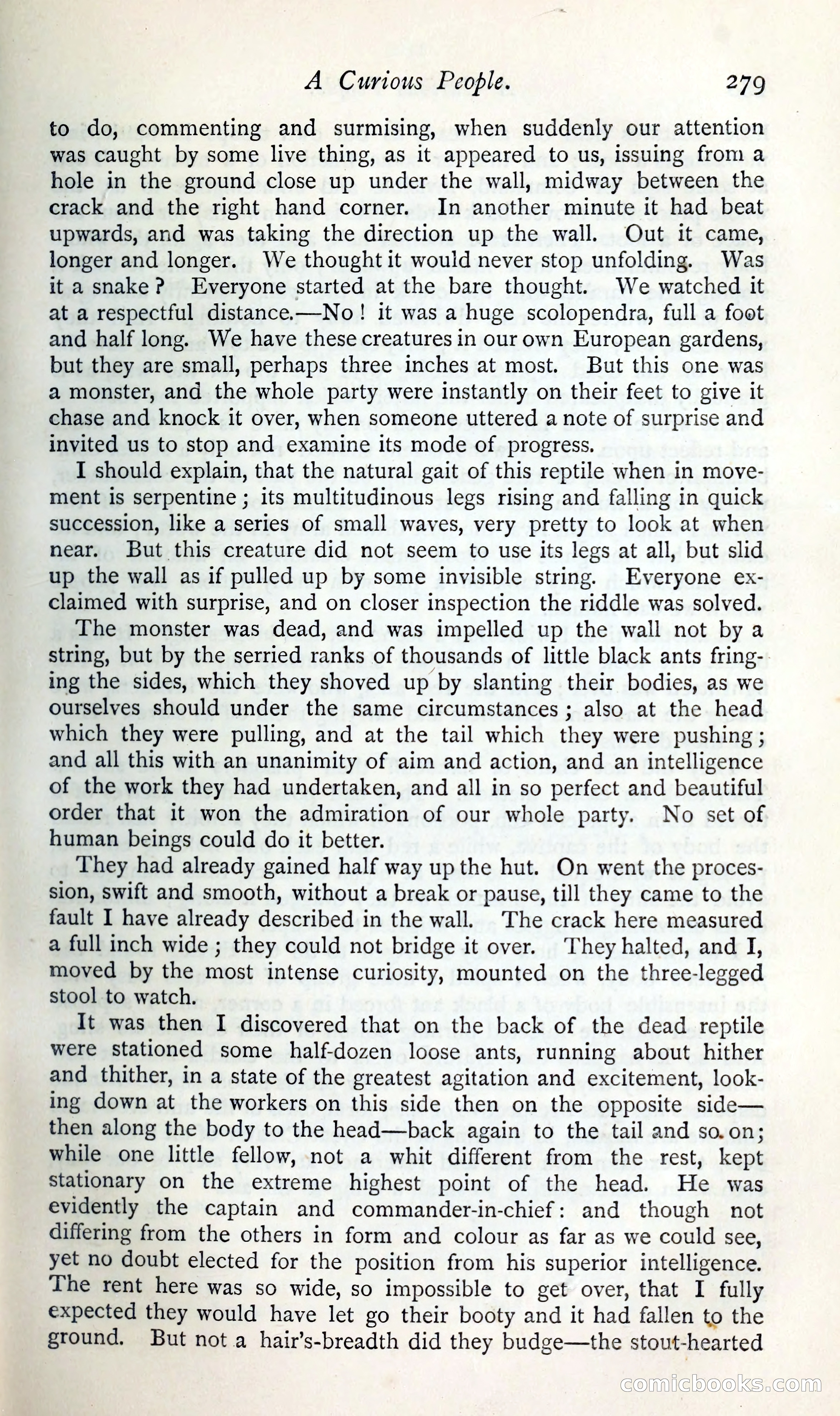 The Argosy — page 300 of 392