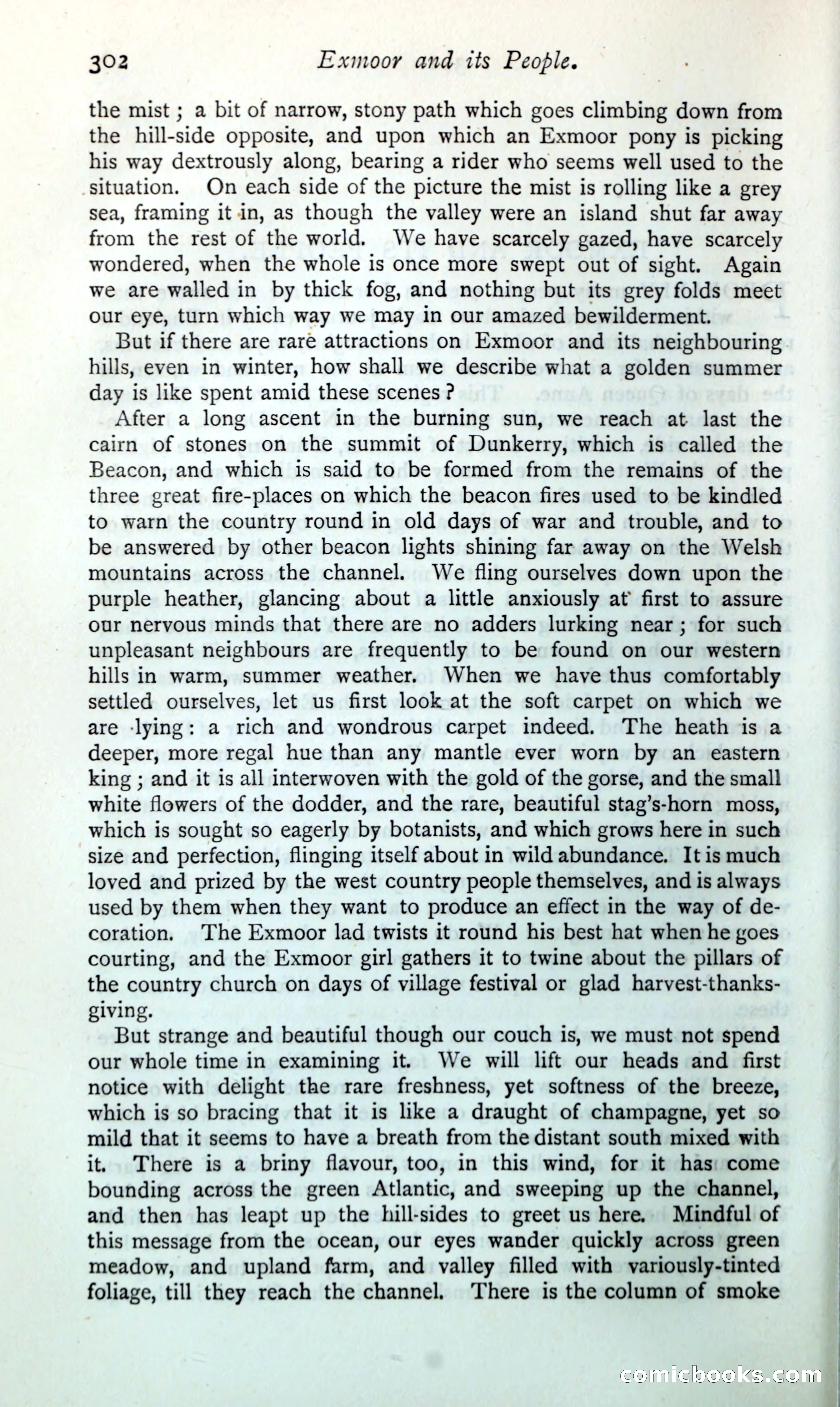 The Argosy — page 327 of 398