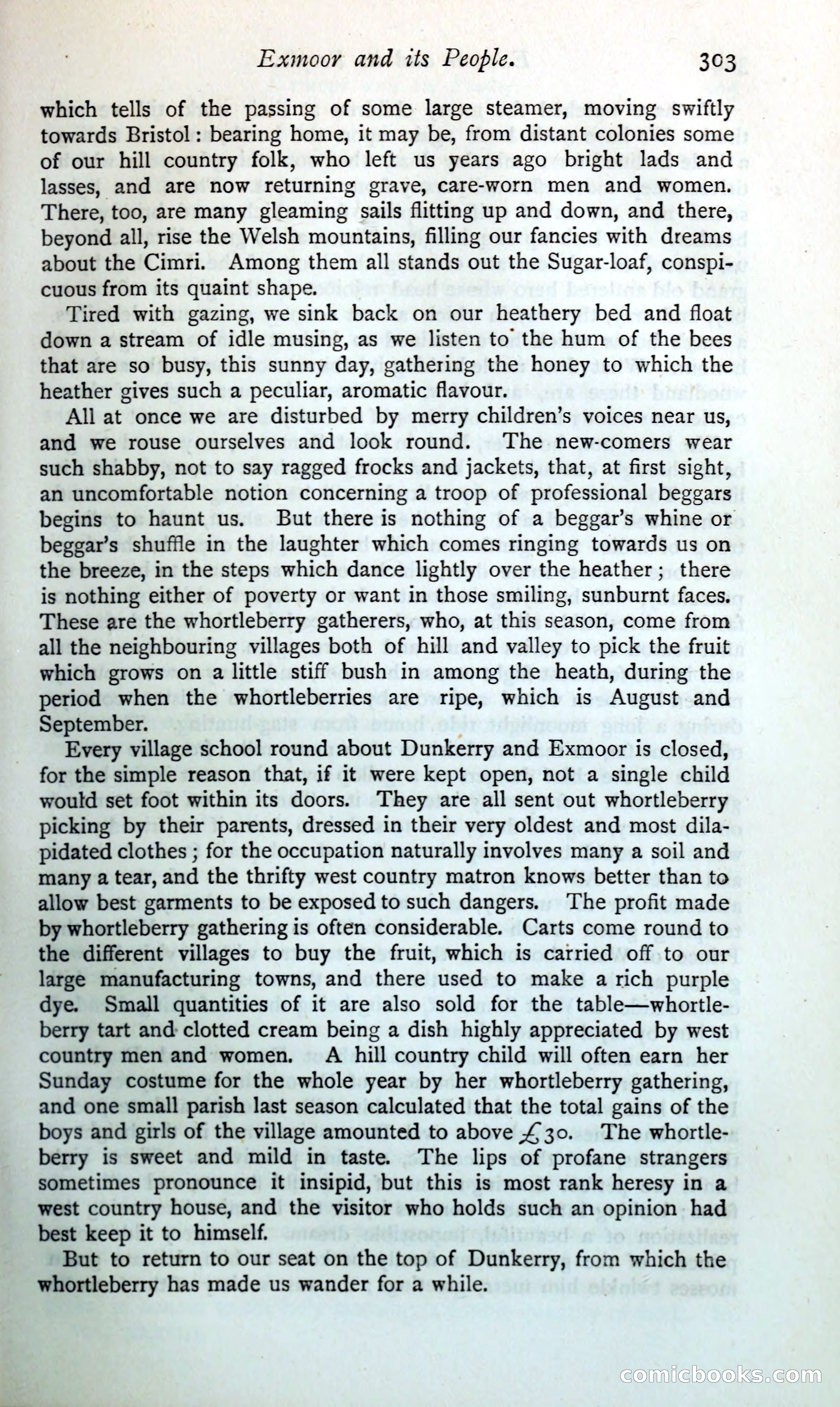 The Argosy — page 328 of 398