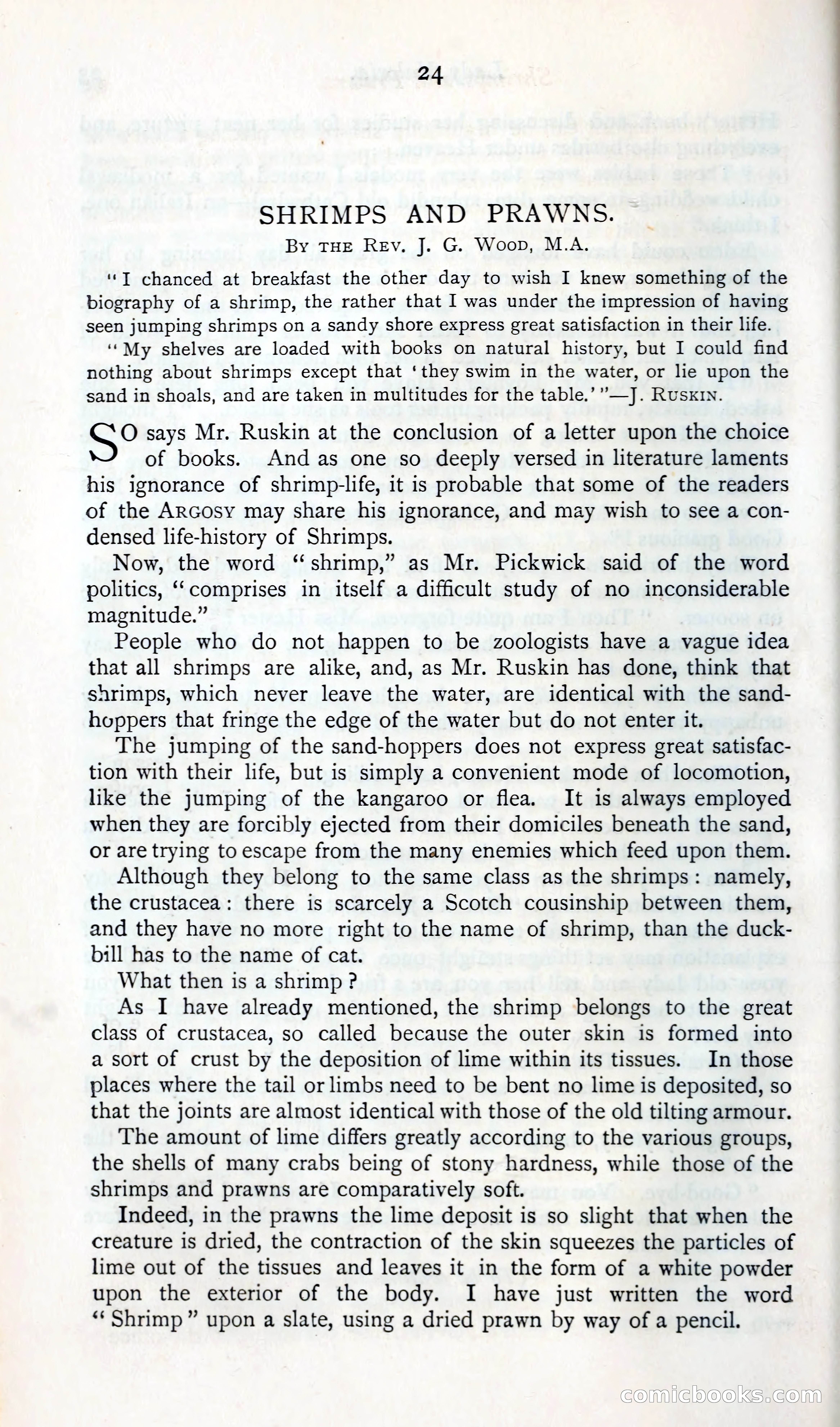 The Argosy — page 37 of 392
