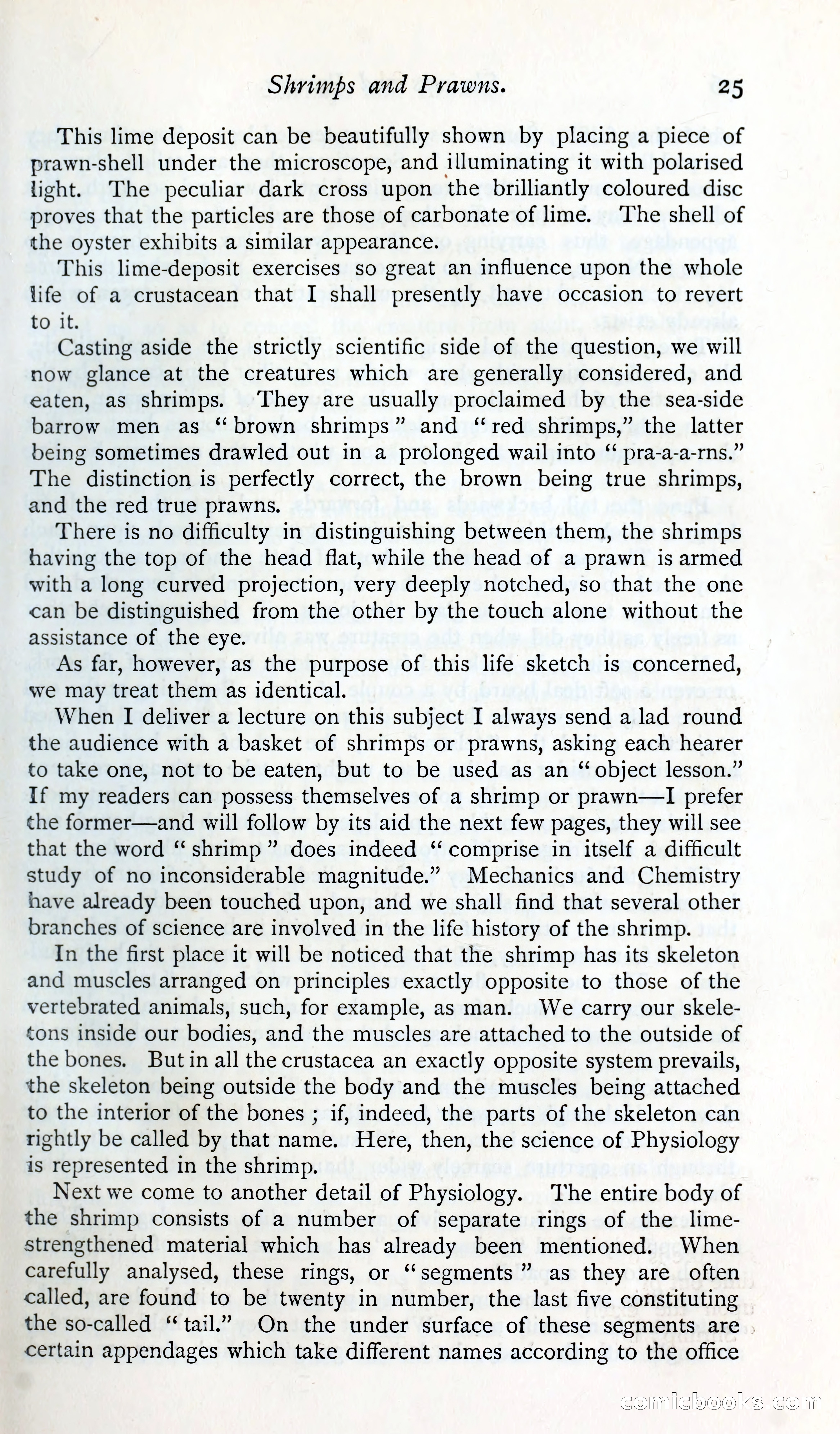 The Argosy — page 38 of 392
