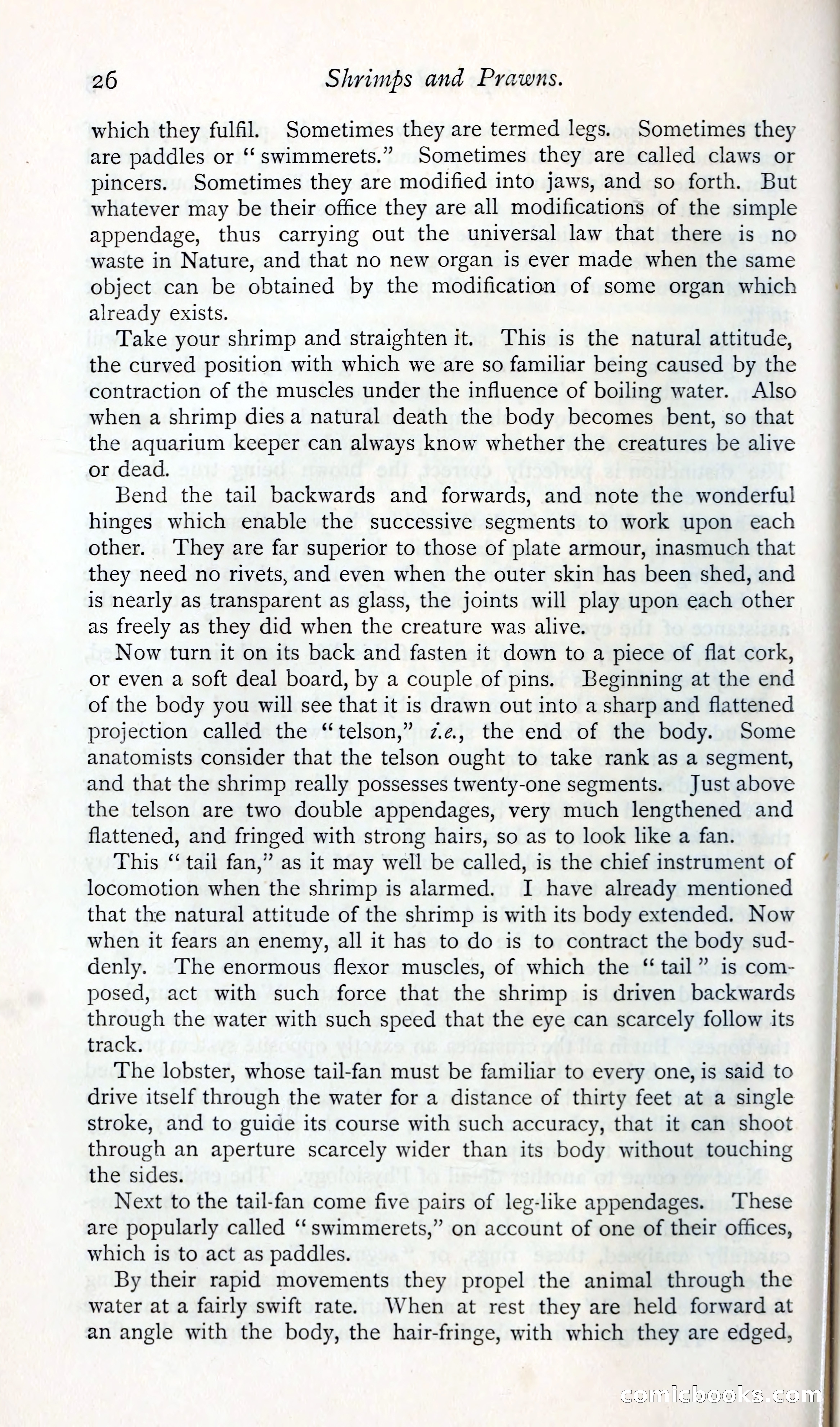 The Argosy — page 39 of 392