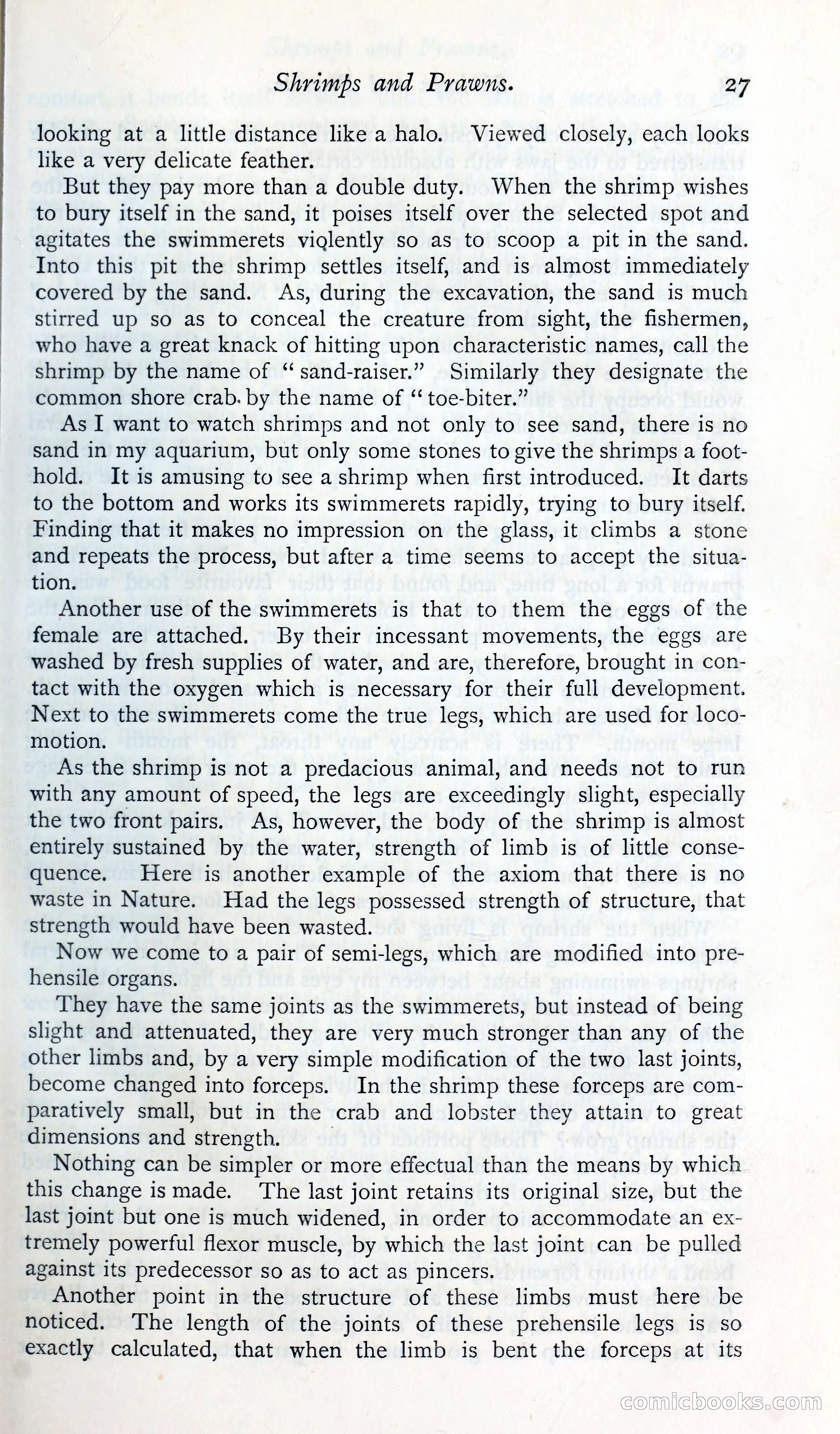 The Argosy — page 40 of 392